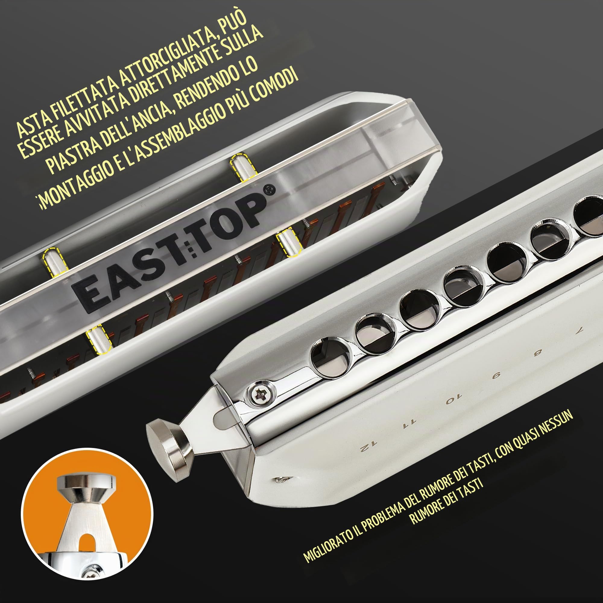 EAST TOP Armonica cromatica in chiave di do, 12 fori, 48 toni, professionale, per adulti, professionisti e studenti, colore bianco
