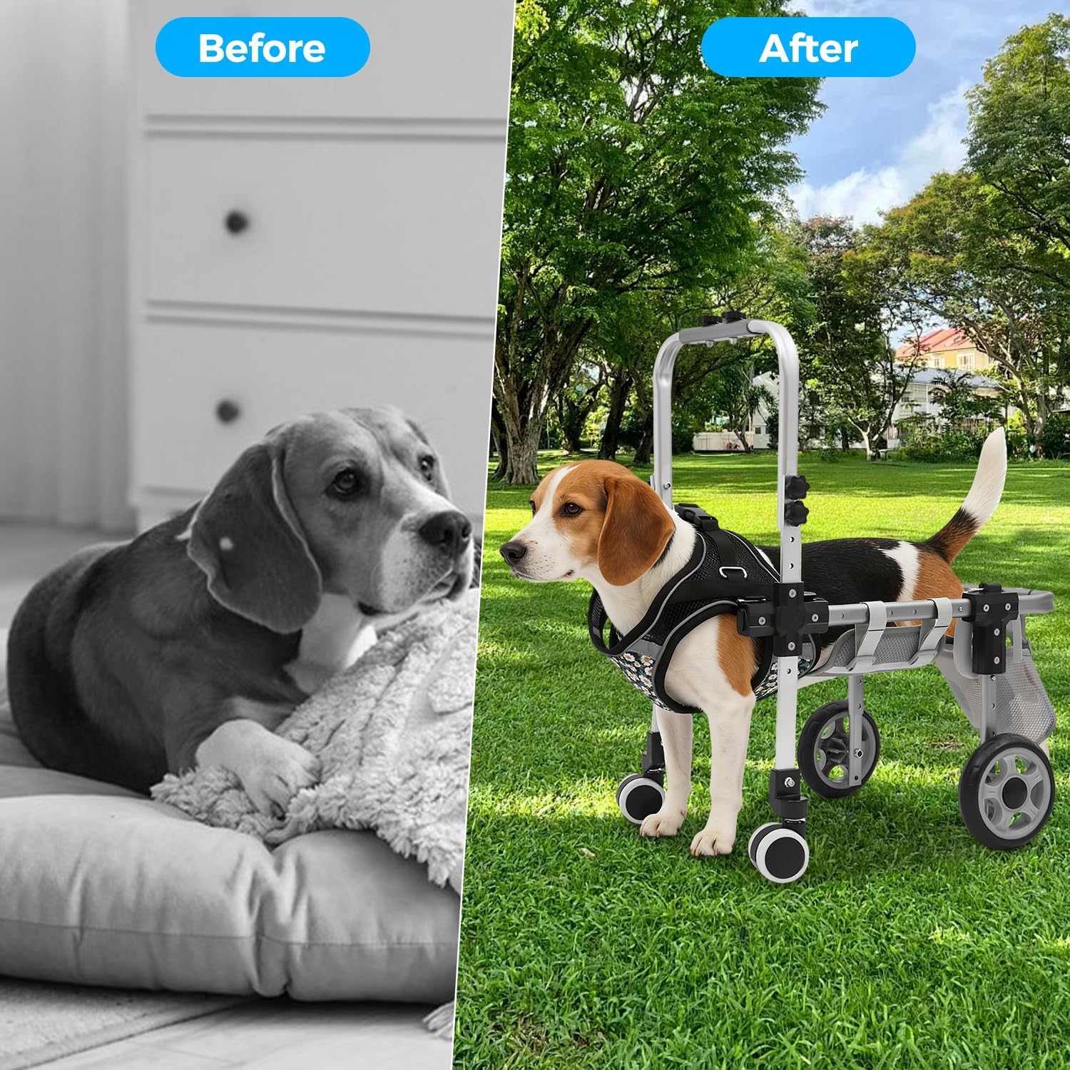 4-Wheel Dog Wheelchair for Back Legs, Adjustable Pet Rehabilitation Walking Aid & Mobility Support Cart for Small/Medium Dogs, Rear Leg Support Walker, Fits Pets 22-27.6 lbs - Black L