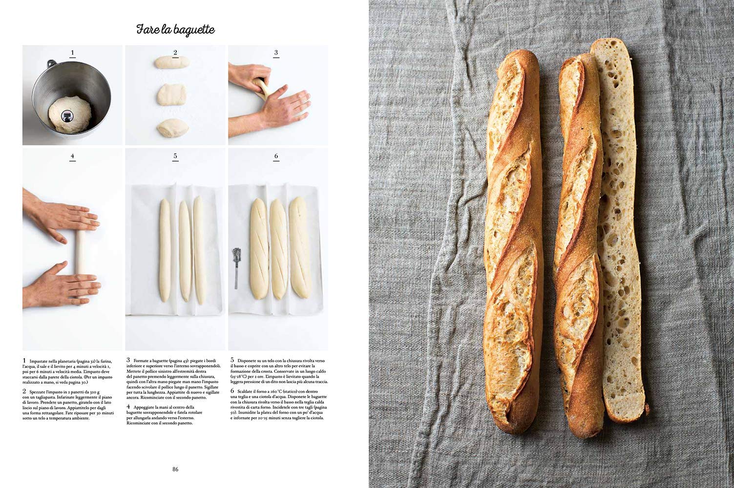 Il grande manuale del panettiere. Pani, brioche e altre bontà dorate
