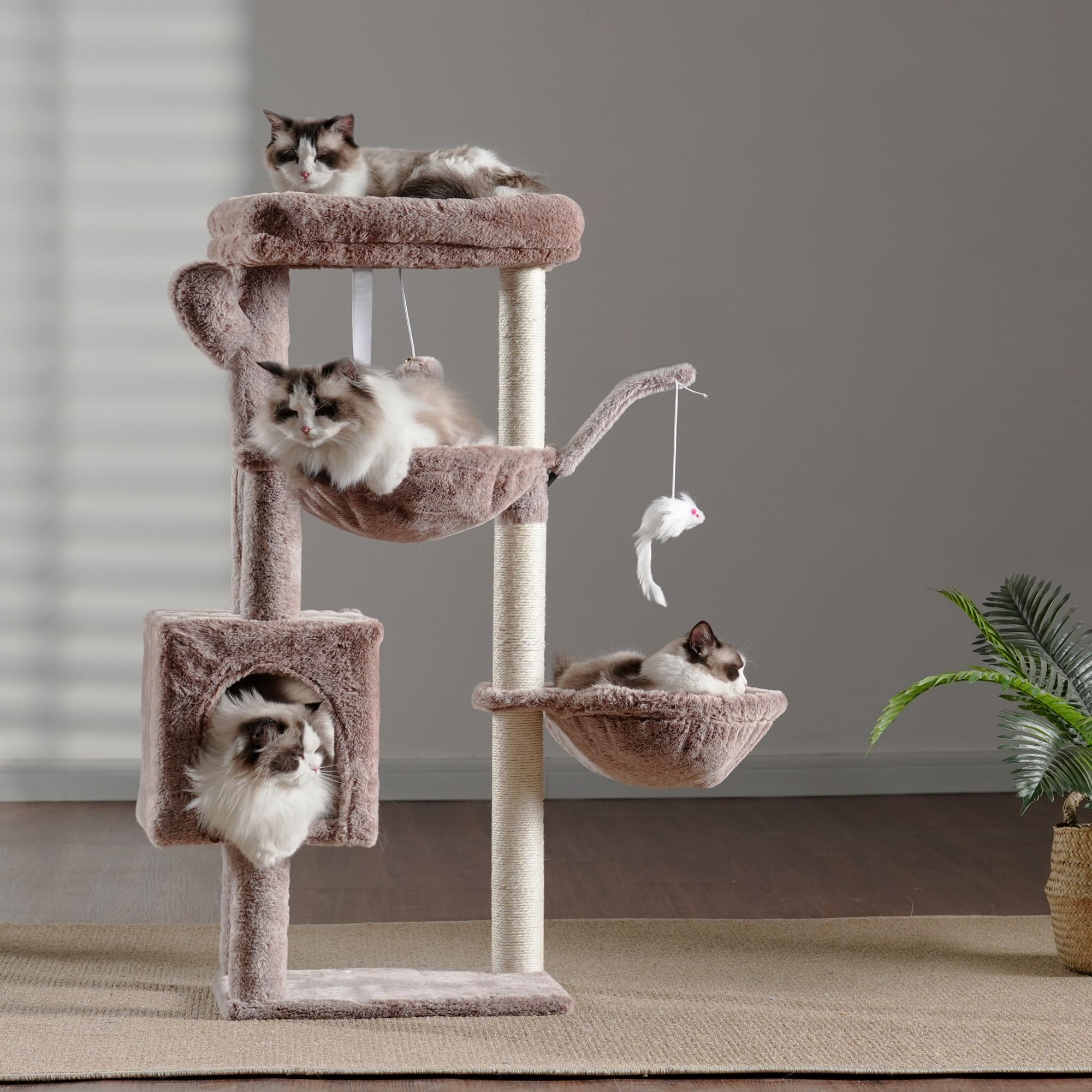 Heybly Albero Tiragraffi per Gatti, 100 cm Alto Con Grande Piattaforma In Cima, Grotta, 2 Amache, Giochi Per Gatti, Mobili Del Gatto, Tiragraffi Ad Alberi, Beige Marrone HCT006SMU