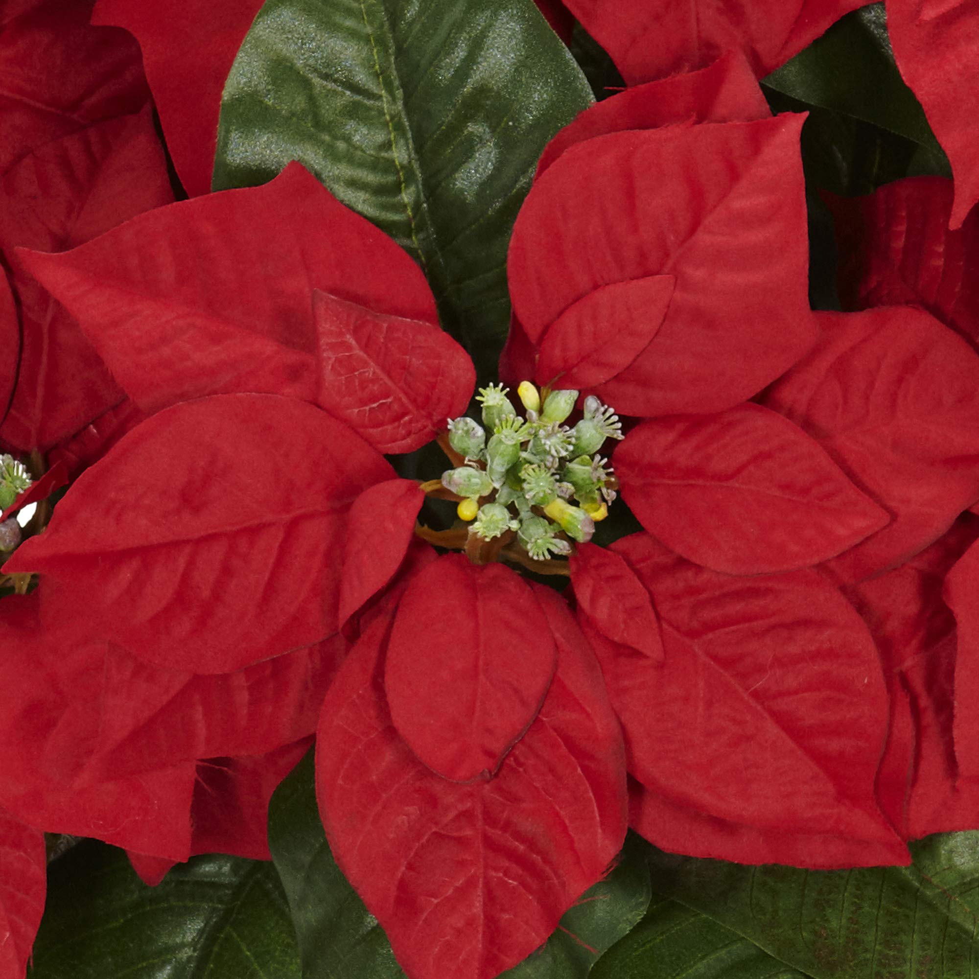 NearlyNatural Poinsettia W/Blanc Lavage Pot de Fleurs en Soie Arrangement