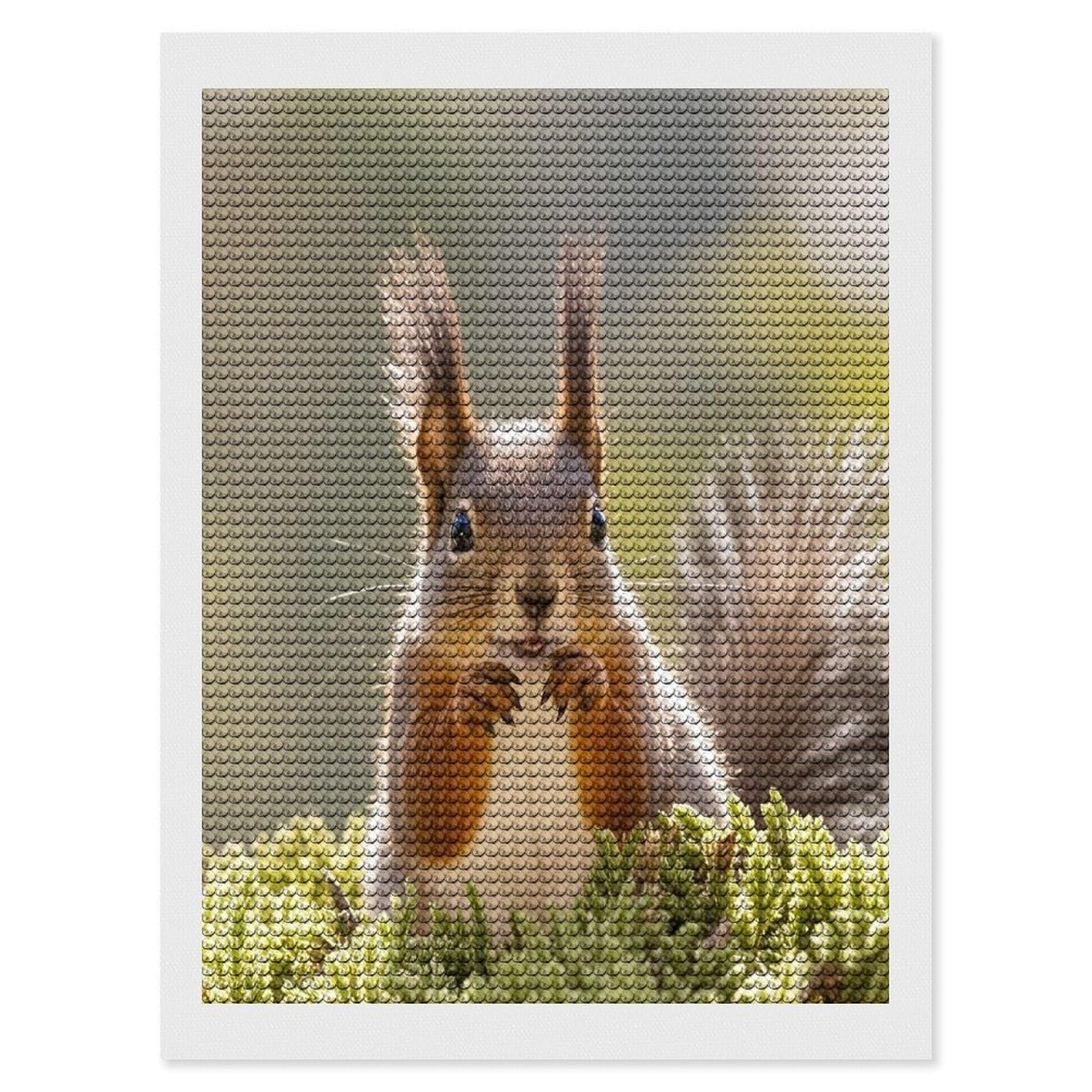 FekiLoot Squirrel Funny Animal Diamond Painting Kits for Adults Full Round Drill Diamond Art Kits for Beginners 5D DIY Diamond Dots Paintings Diamonds Pictures Gem Art Home Wall Decor 12"x16"