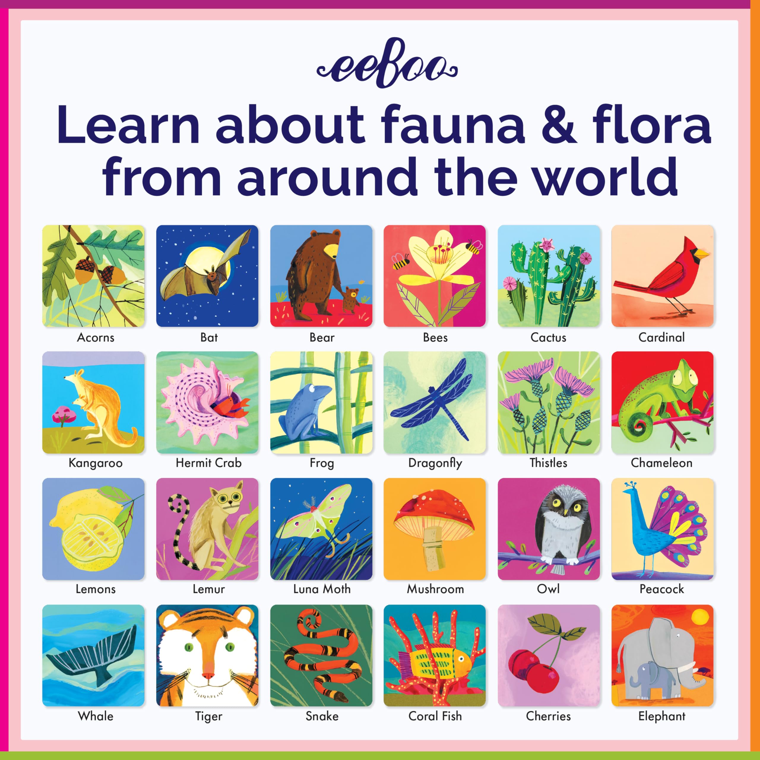 eeBoo - Memo vita sulla terra, gioco di carte (MGLOE3).