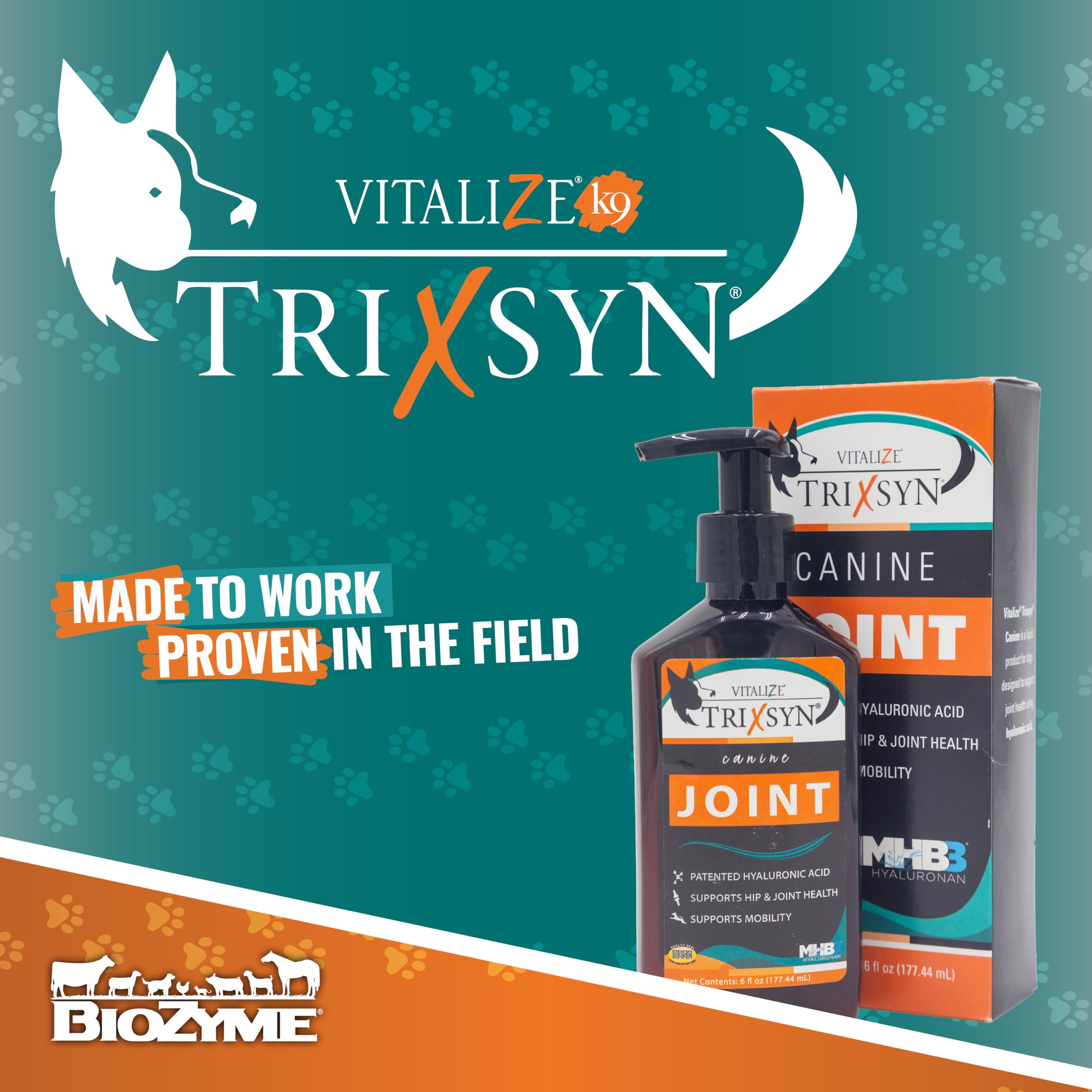 Amazon.com : Vitalize® TRIXSYN® Canine, 6 fl oz (3 Pack) : Pet