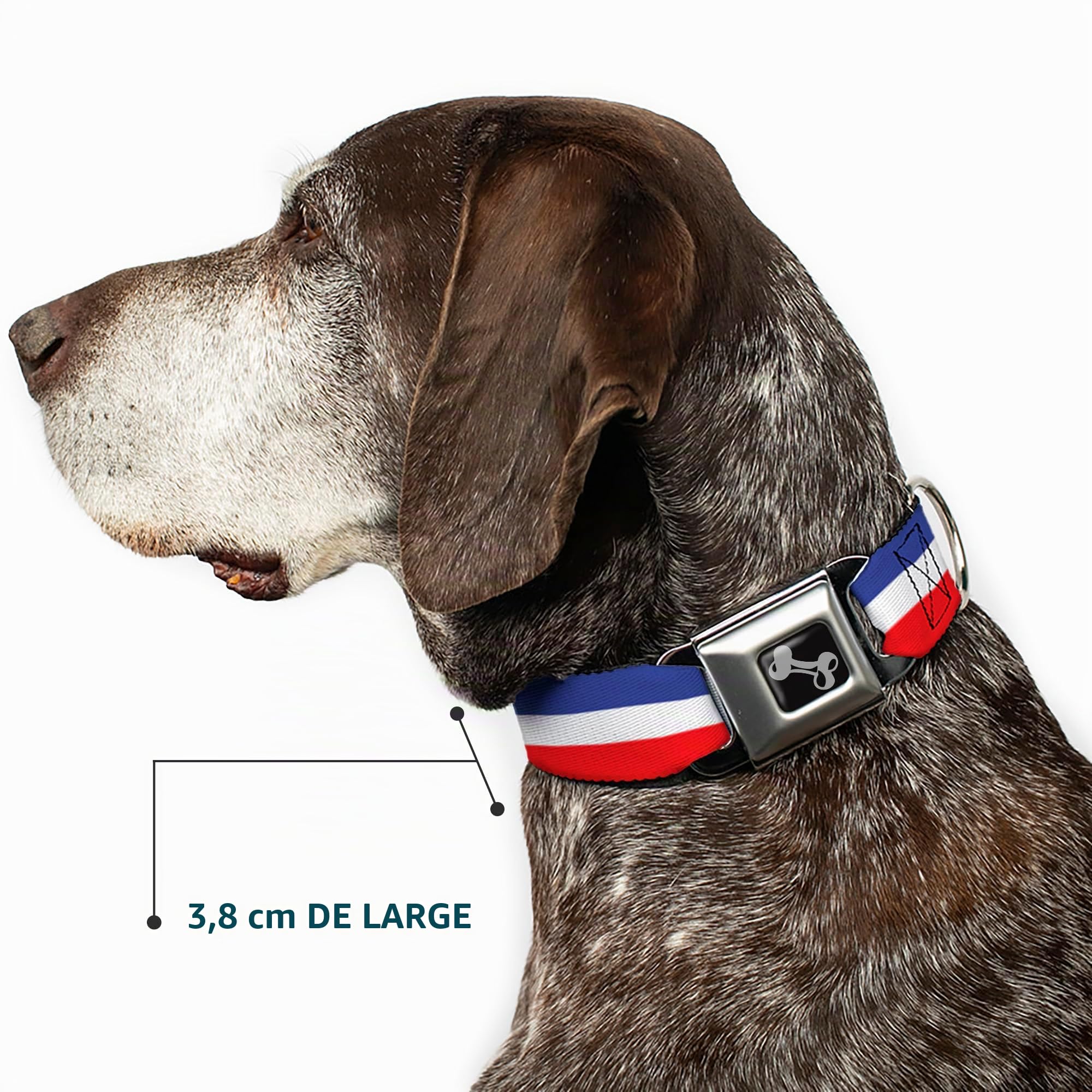 Buckle Down 9–38,1 cm Rayures Rouge/Blanc/Bleu Collier de Chien en Forme d'os, Petite