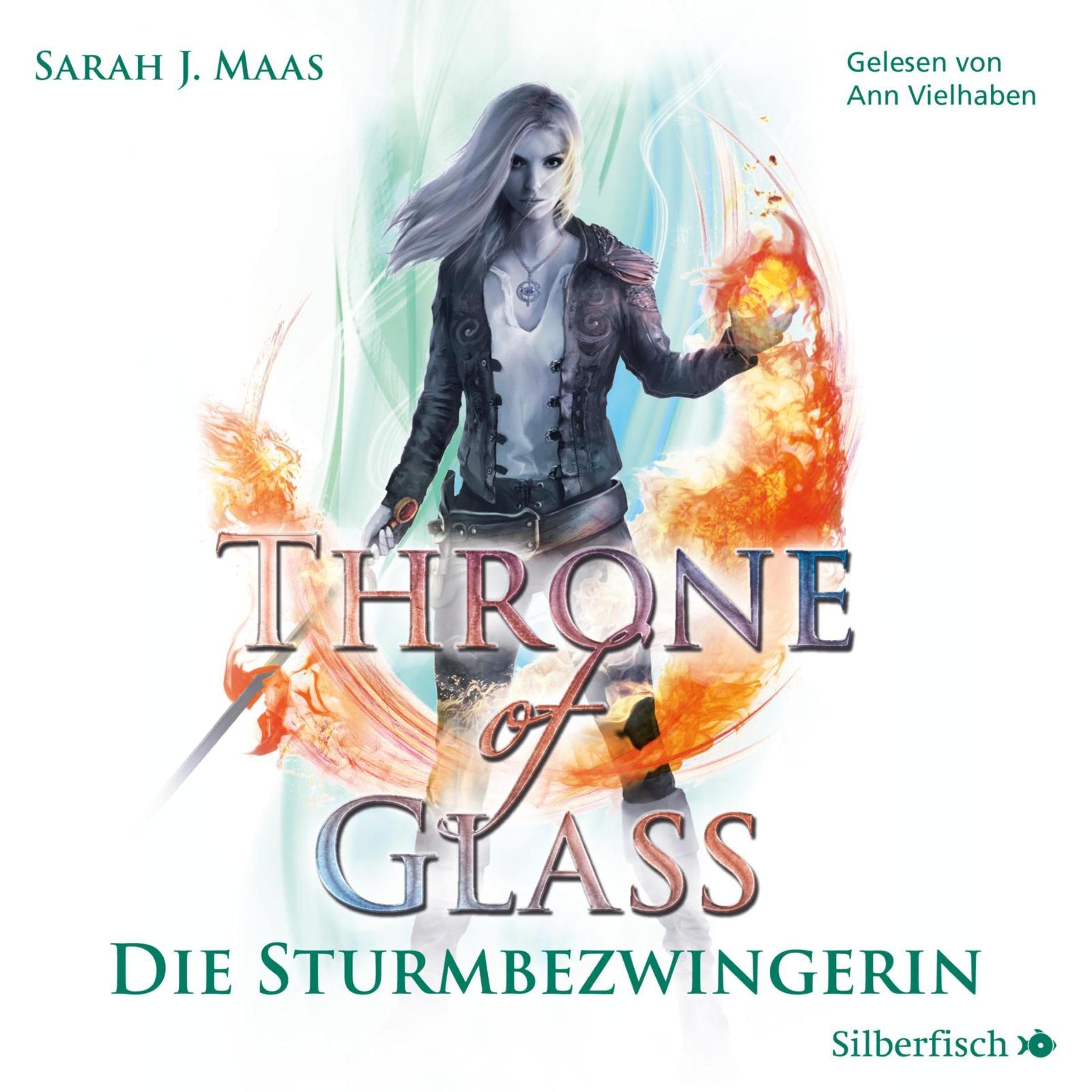 Cover art for Die Sturmbezwingerin