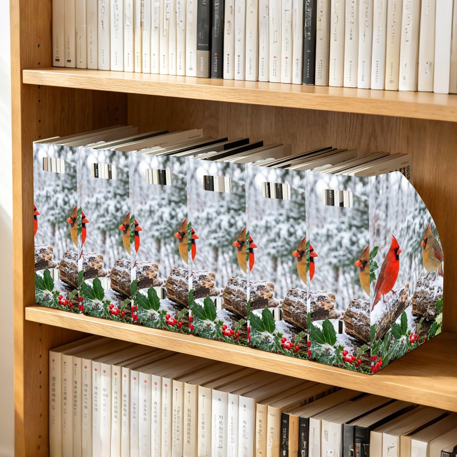 Winter Bird Red Paper Organizer per scrivania