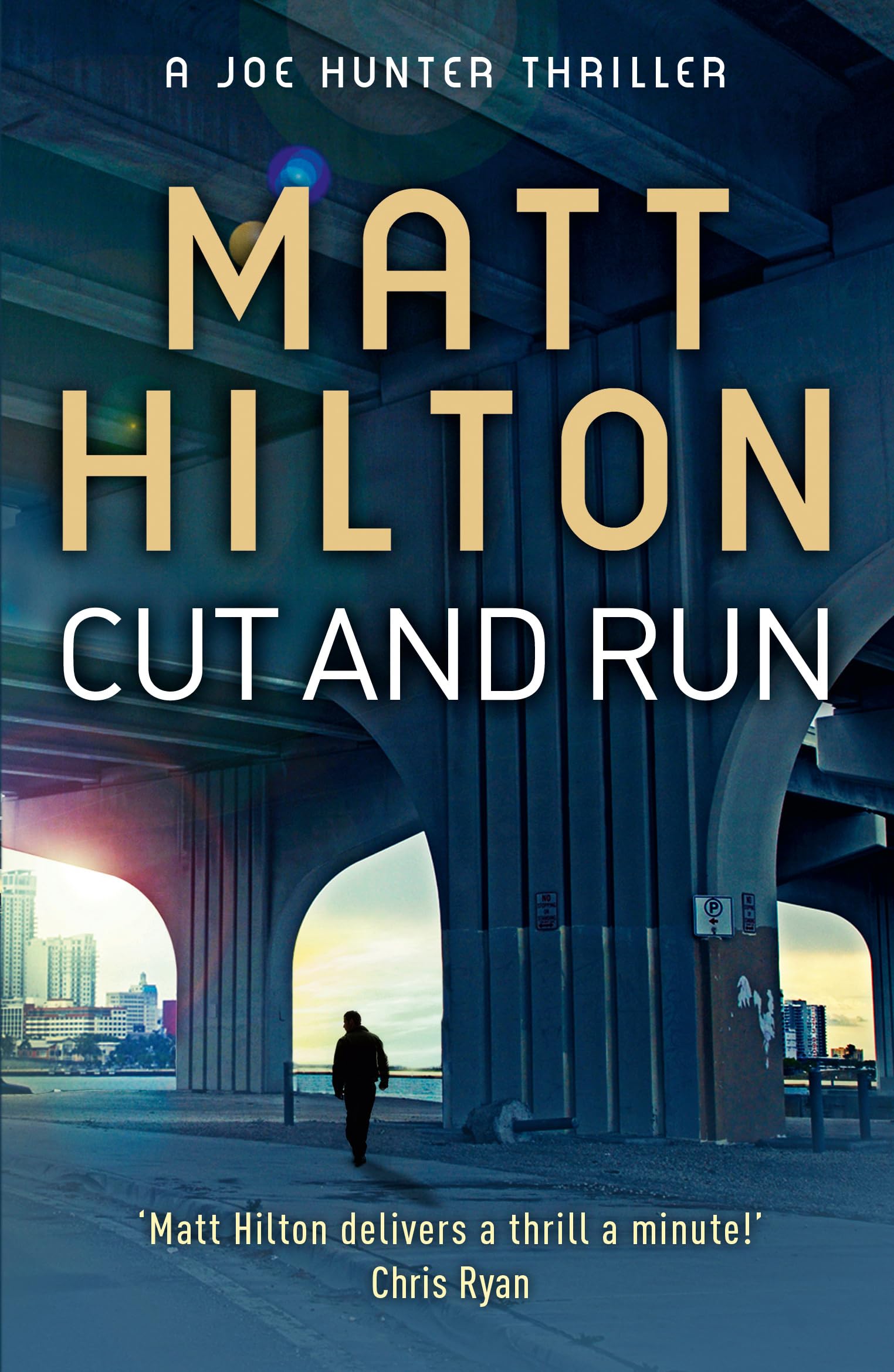 Cut and Run (Joe Hunter),Matt Hilton