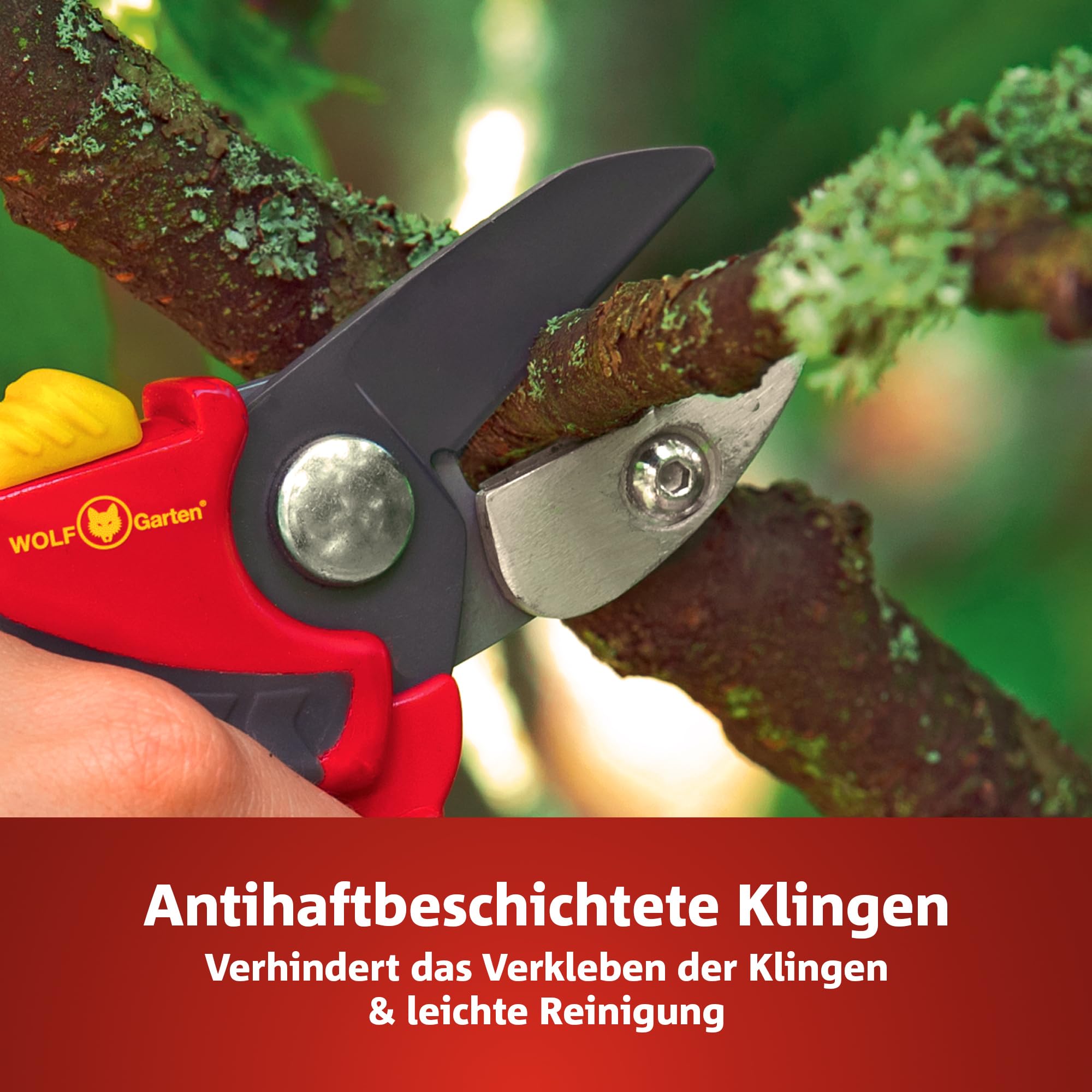 Amazon.com : Wolf Garten 73AFA005650 Garden Shears 