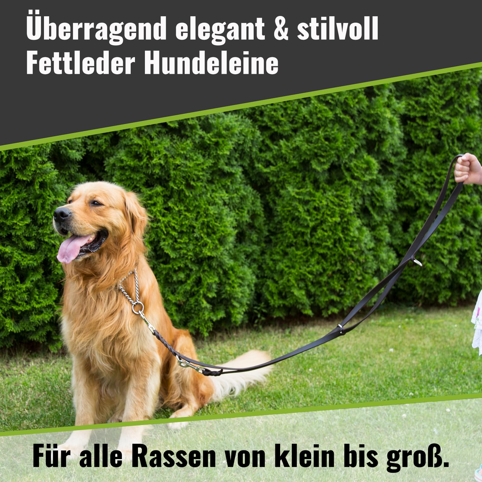Hundeleine Leder 2,40m mittelgroße Hunde Fettlederleine [3-Fach Verstellbar] Lederleine geflochten – robuste Leine Hund mit Chrombeschlägen – Führleine Hund & Freihandleine – Dog Leash Braun 15mm