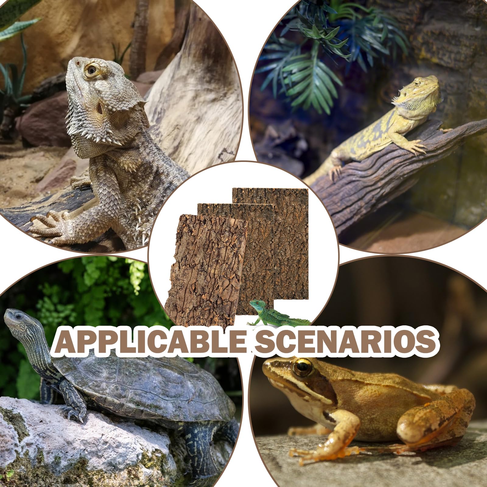 Lot de 3 écorces de liège pour terrarium 15 x 30 cm - Décoration d'arbre - Plaque de fond pour reptiles