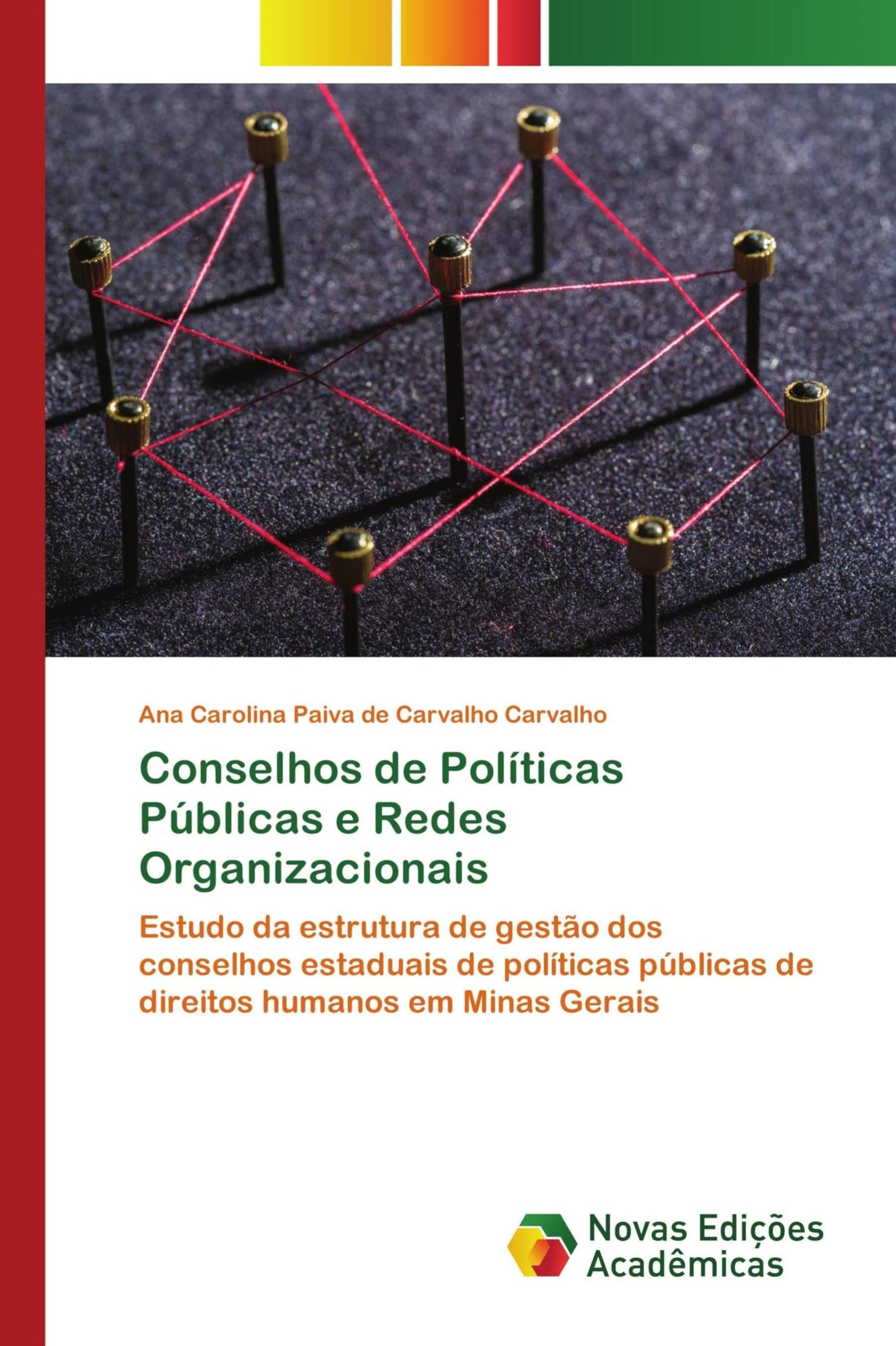 Conselhos de Políticas Públicas e Redes Organizacionais: Estudo da estrutura de gestão dos conselhos estaduais de políticas públicas de direitos humanos em Minas Gerais