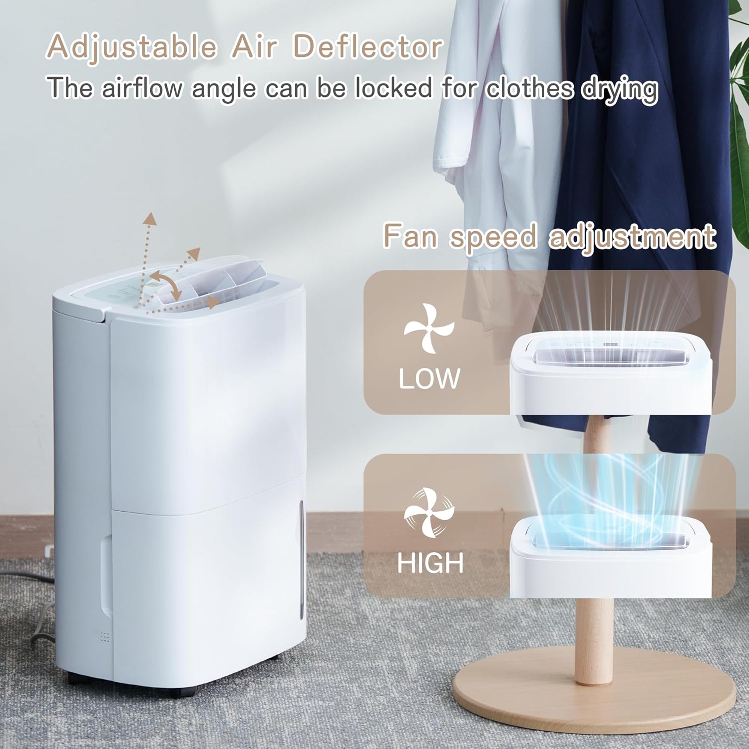 Foto del Deshumidificador