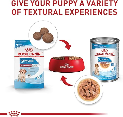 Miniatura 4 de Royal Canin Size Health Nutrition Medium Puppy Dry Dog Food