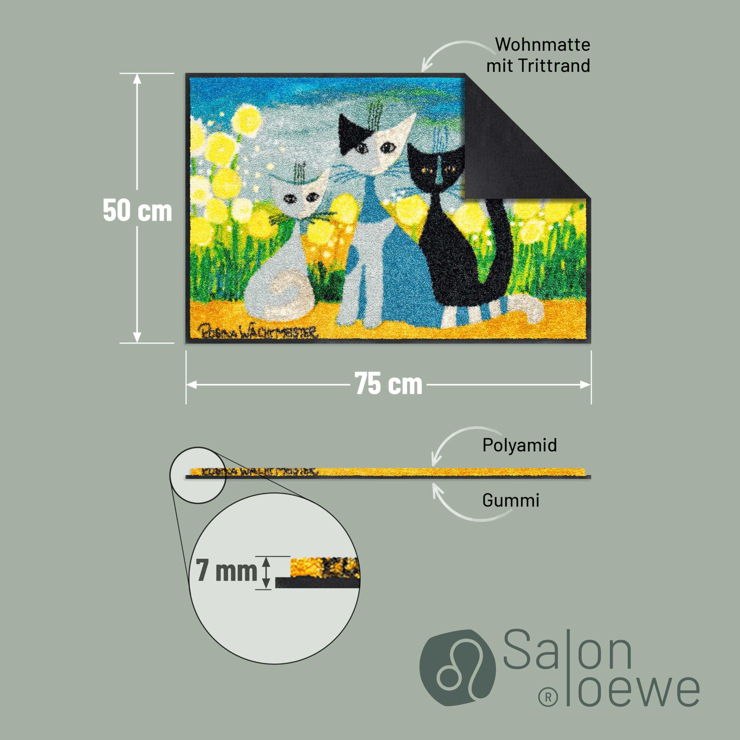Salonloewe Fussmatte Springtime I Schmutzfangmatte & Fußabtreter für Innen 50 x 75 cm