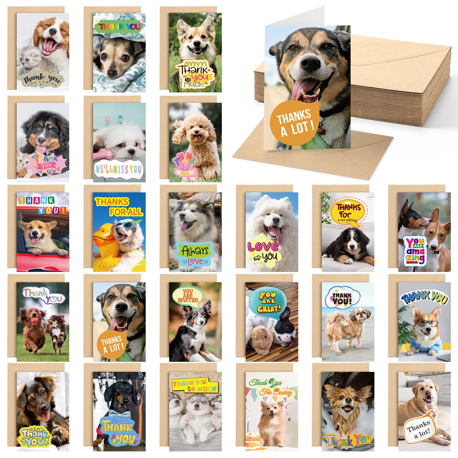 Motiskyy 48 Set Dog Thank You Cards with Envelopes 4 x 6 Inch Funny Puppy Animal Themed Blank Inside Dog Greeting Note Card for Gratitude, Recognition