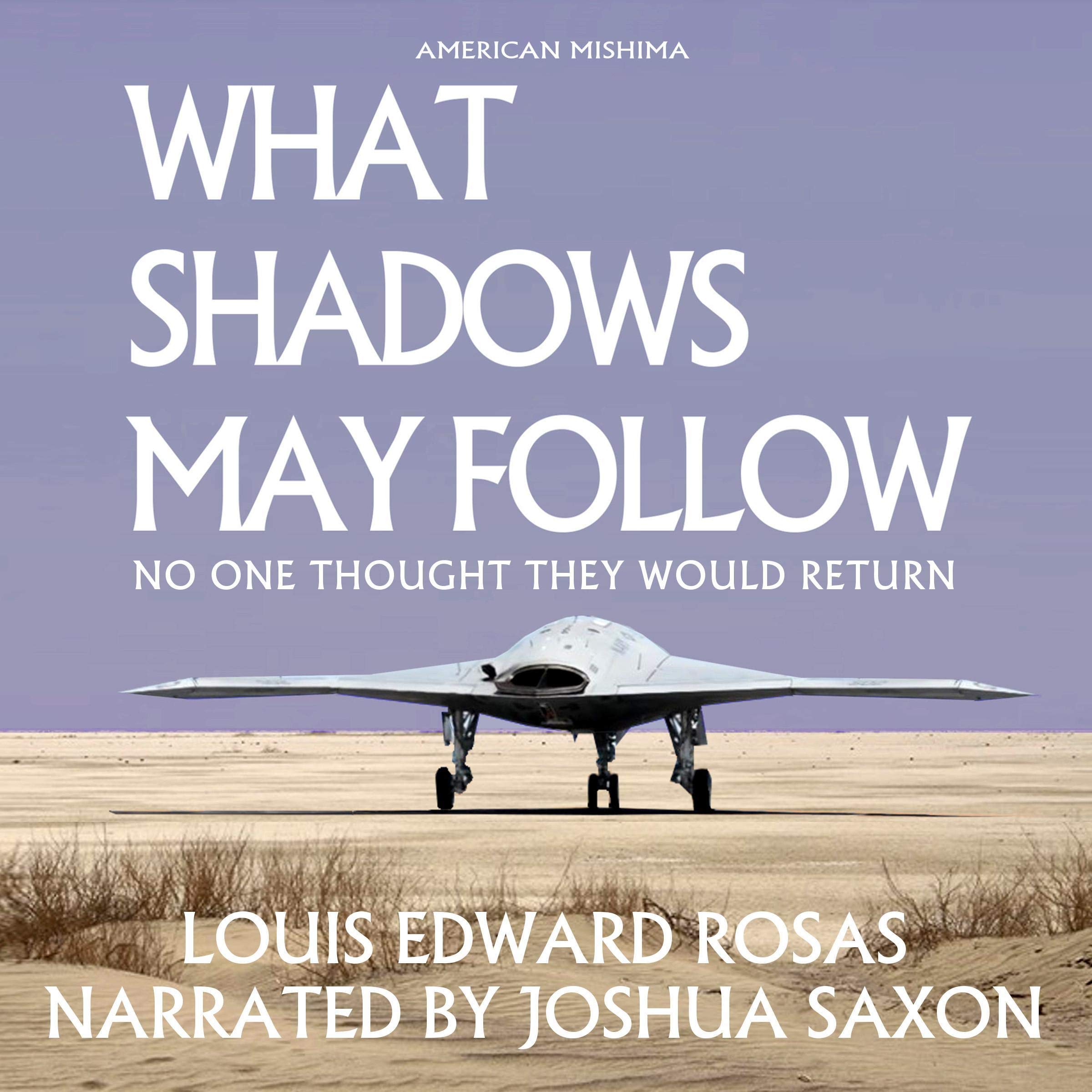 Cover art for What Shadows May Follow
