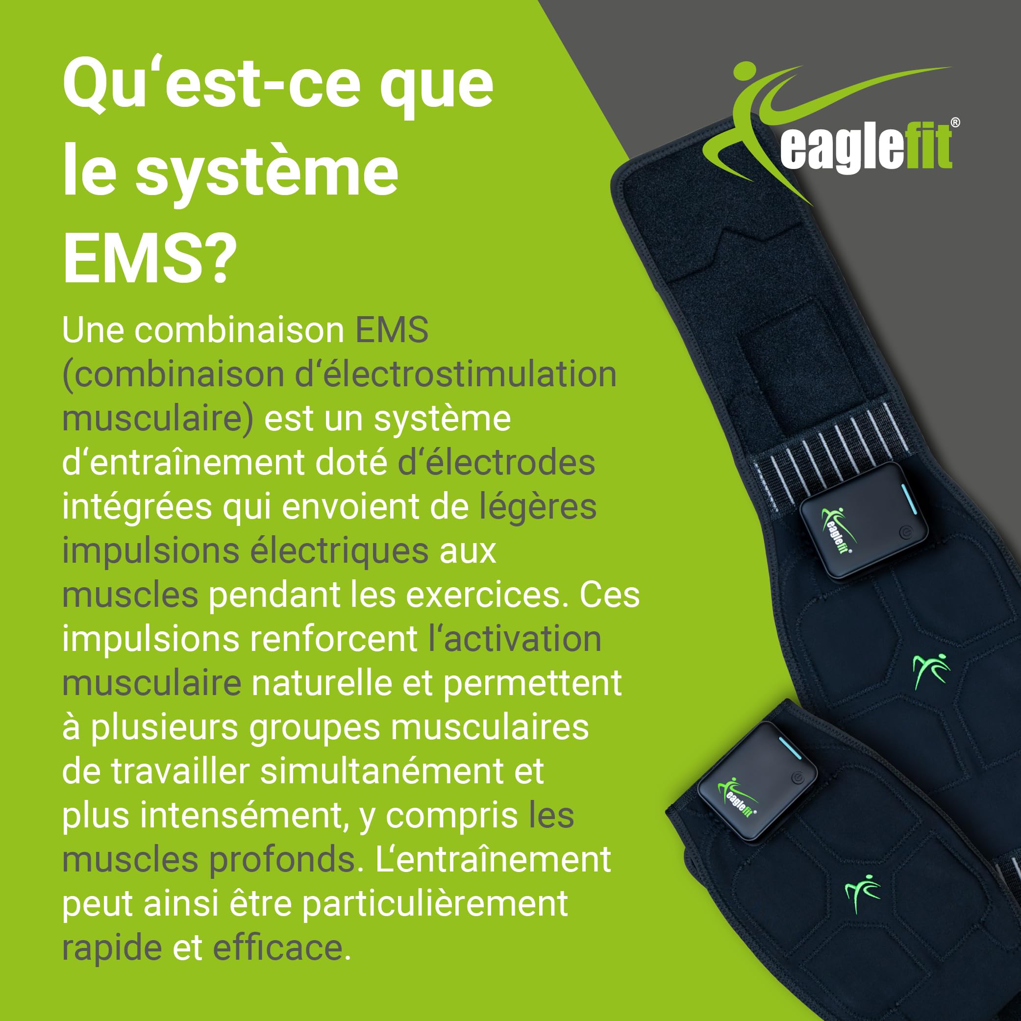 eaglefit Premium EMS-Belt 2.0 Ceinture abdominale avec 6 électrodes – Ceinture de musculation et stimulation musculaire pour ventre et dos – entraîneur abdominal fitness – avec application et Powerbox