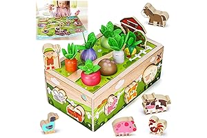 Montessori Wooden Sensory Toddler Toys: Toy for 1 Year Old Boys Girls Birthday Gifts