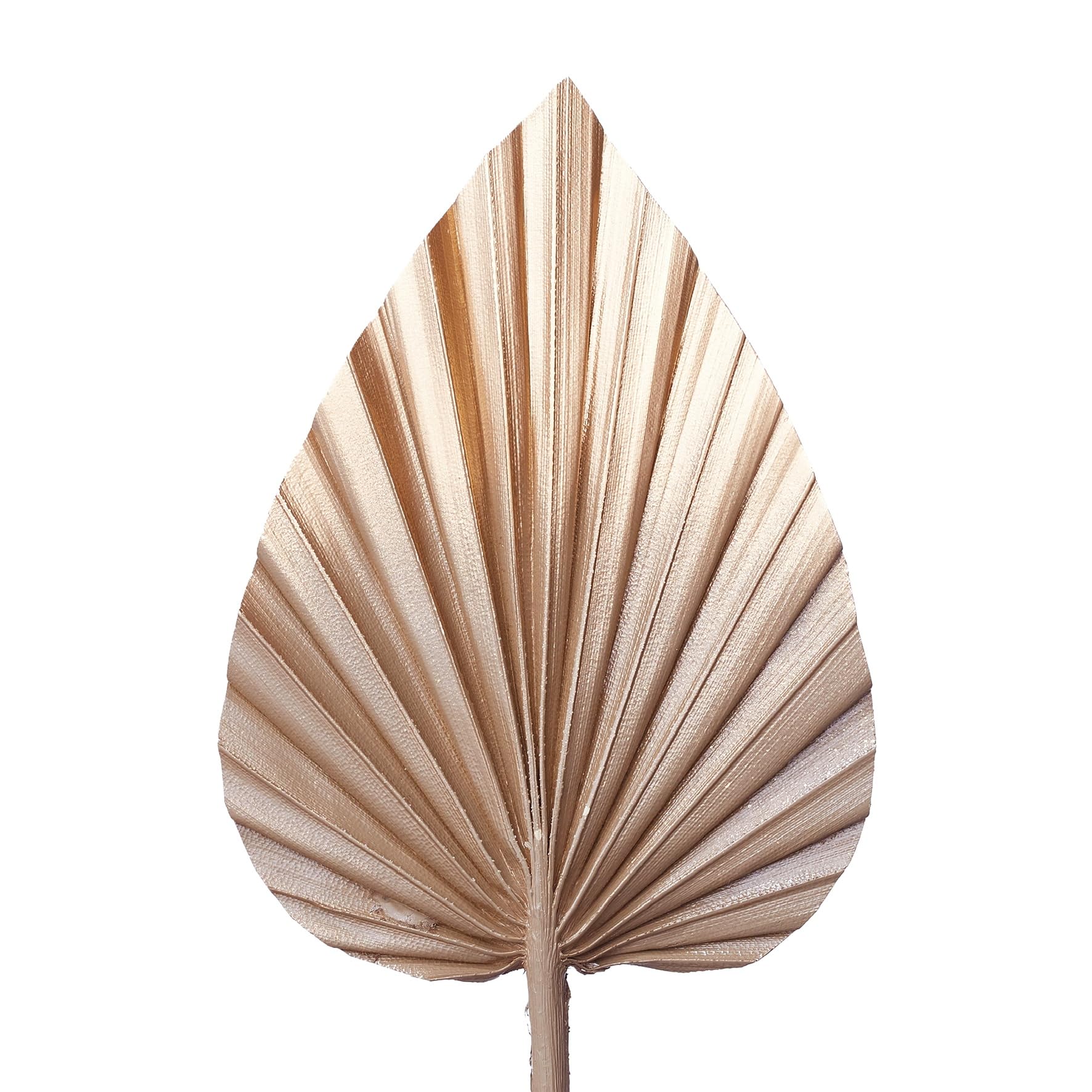 The Baked Studio - Dried Palm Leaf Leaves Palm Spear Cake Topper for Cake Decoration (Mocha Latte & Gold Ombre) โ image 1