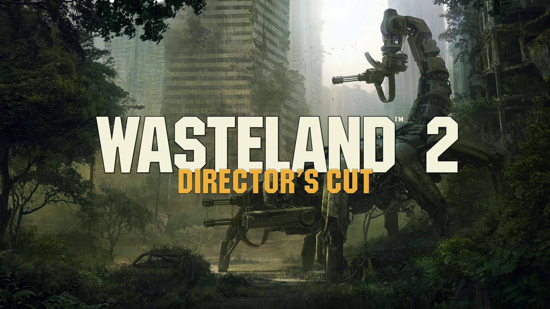 Wasteland 2 - Director'S Cut Nsw- Nintendo Switch
