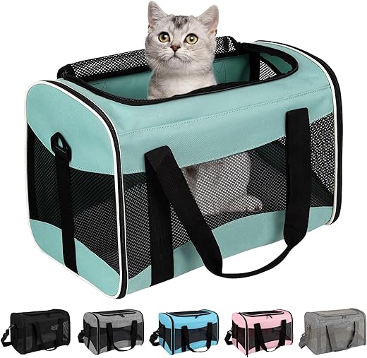 Cat Carriers & Strollers
