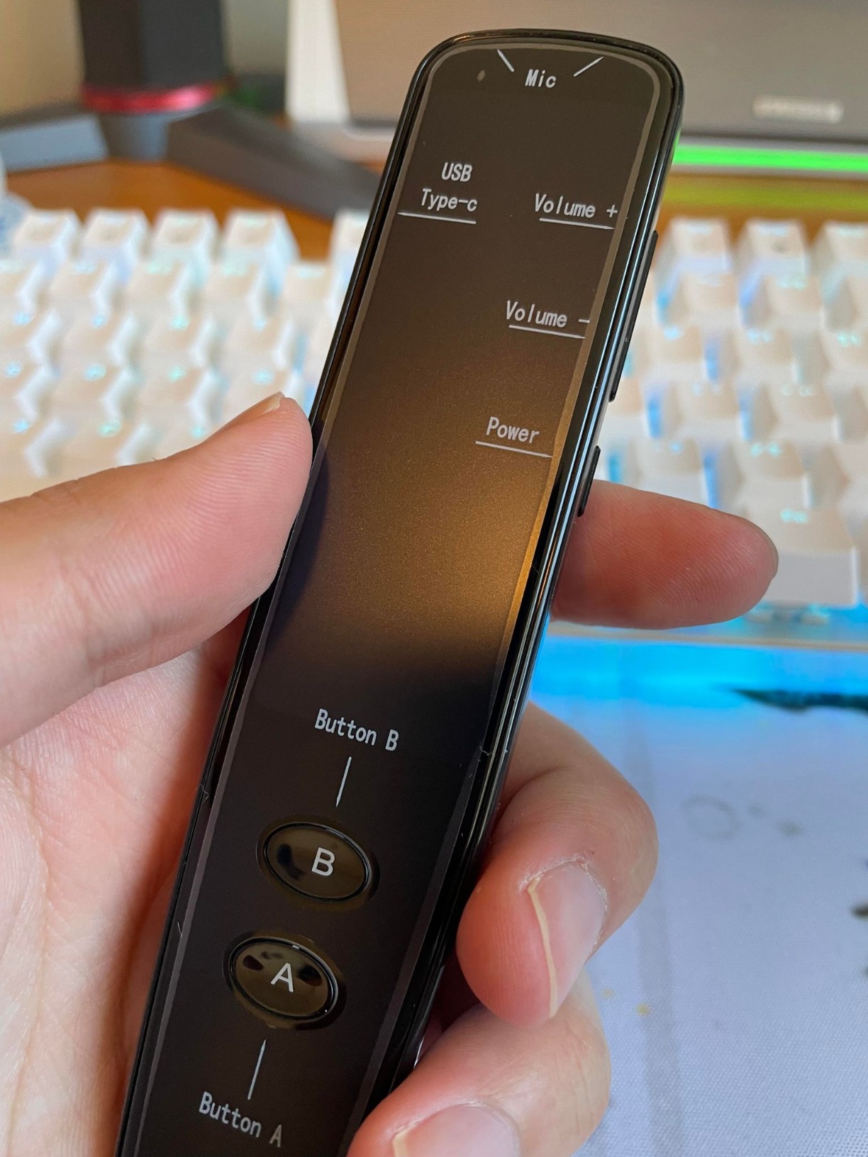 WorldPenScan Go 翻訳機 PenPower WorldPenScan Go 3in1ペン型翻訳機 PP-WPS-GPEN 1本（直送品