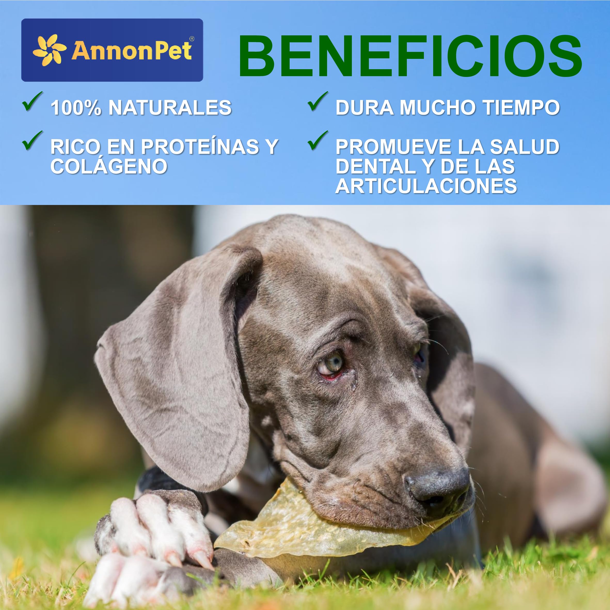 Piel de cabeza de vacuno seca 500 g – Snack natural de larga duración para perros adultos – Masticativos naturales para limpieza dental y fortalecimiento de los músculos masticadores