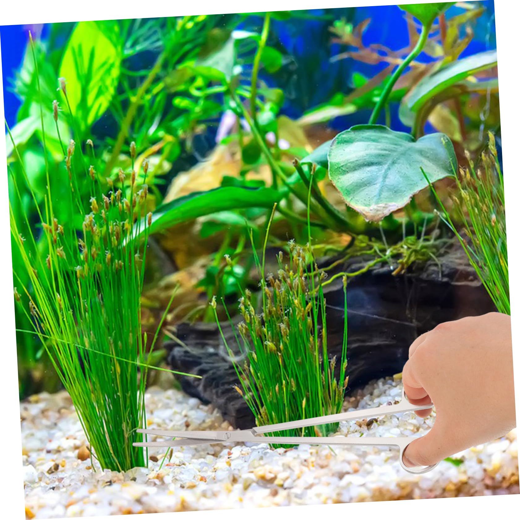 VANZACK 4 Sätze Aquarium Werkzeugset für Pflanzenpflege Teiliges Edelstahlset mit Gebogenen Scheren und Pinzetten für Aquarienpflege und Ergonomische für Komfortable Handhabung