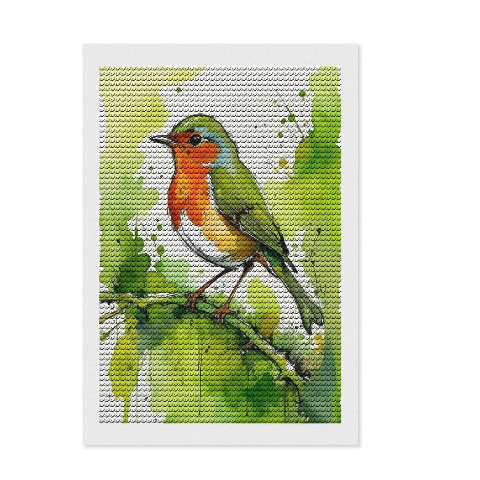 Junmoney Watercolor Robin on Branch Diamond Painting Set 8"x12", Fun Craft Experience, Complete Accessories, Office Decor, Gift Idea, with Tool Kit