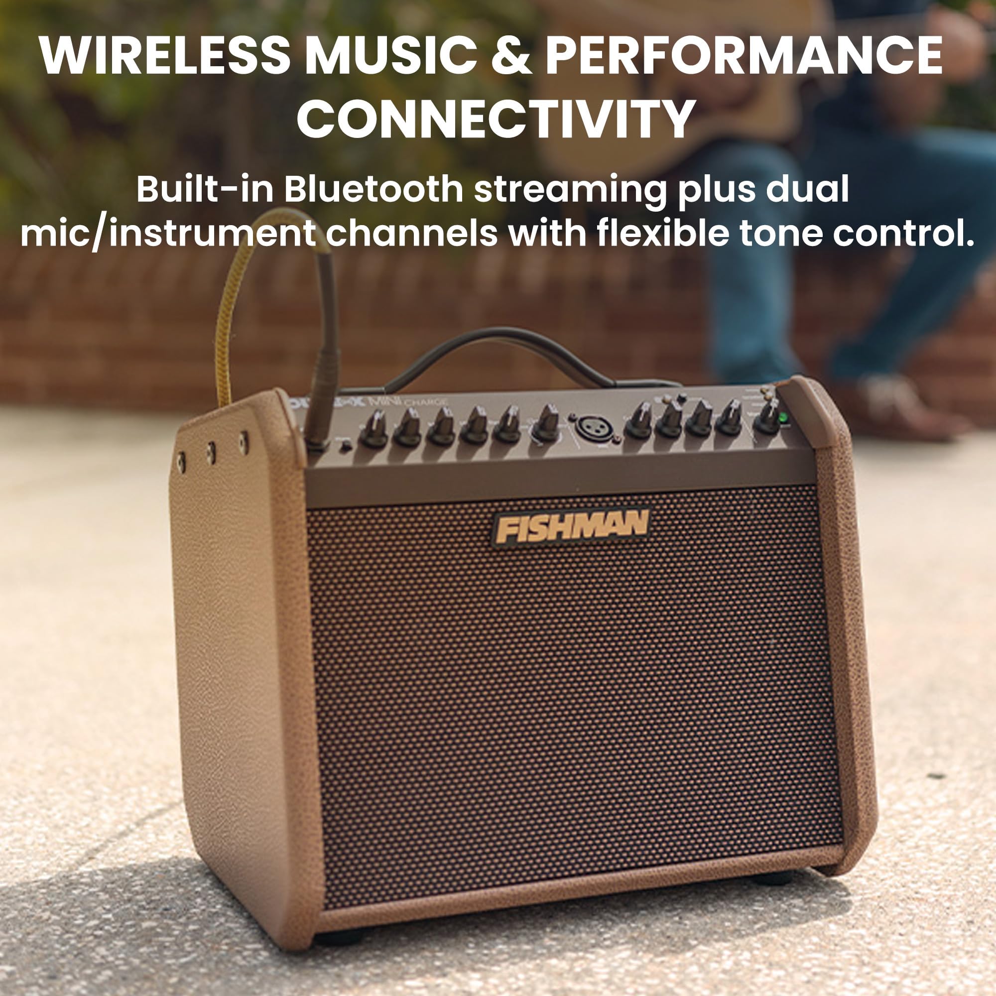 Amazon.com: Fishman Loudbox Mini Charge Battery-Powered 60-Watt