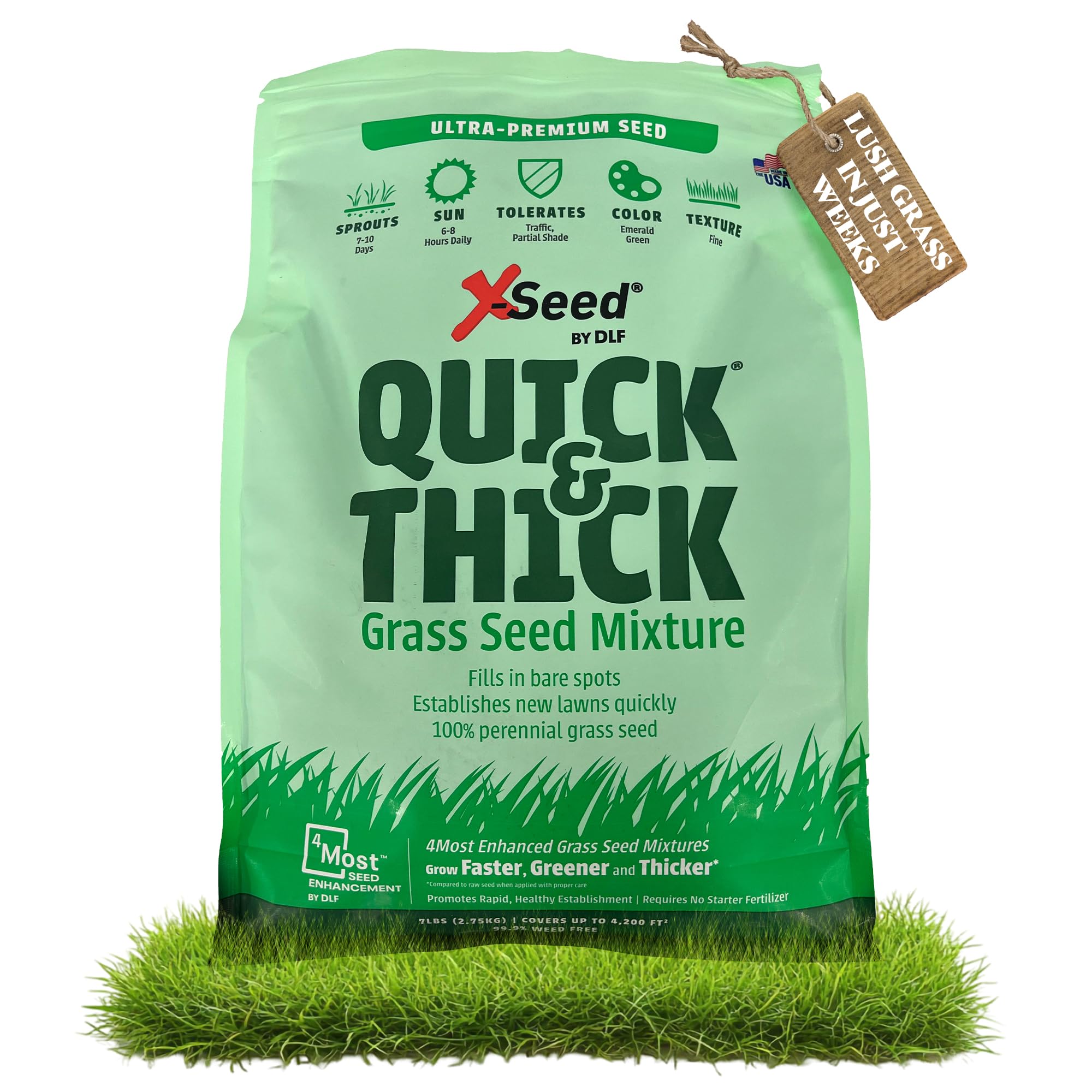 その他 seed Amazon.com: X-Seed Ultra Premium Quick and Thick Lawn Seed Mixture