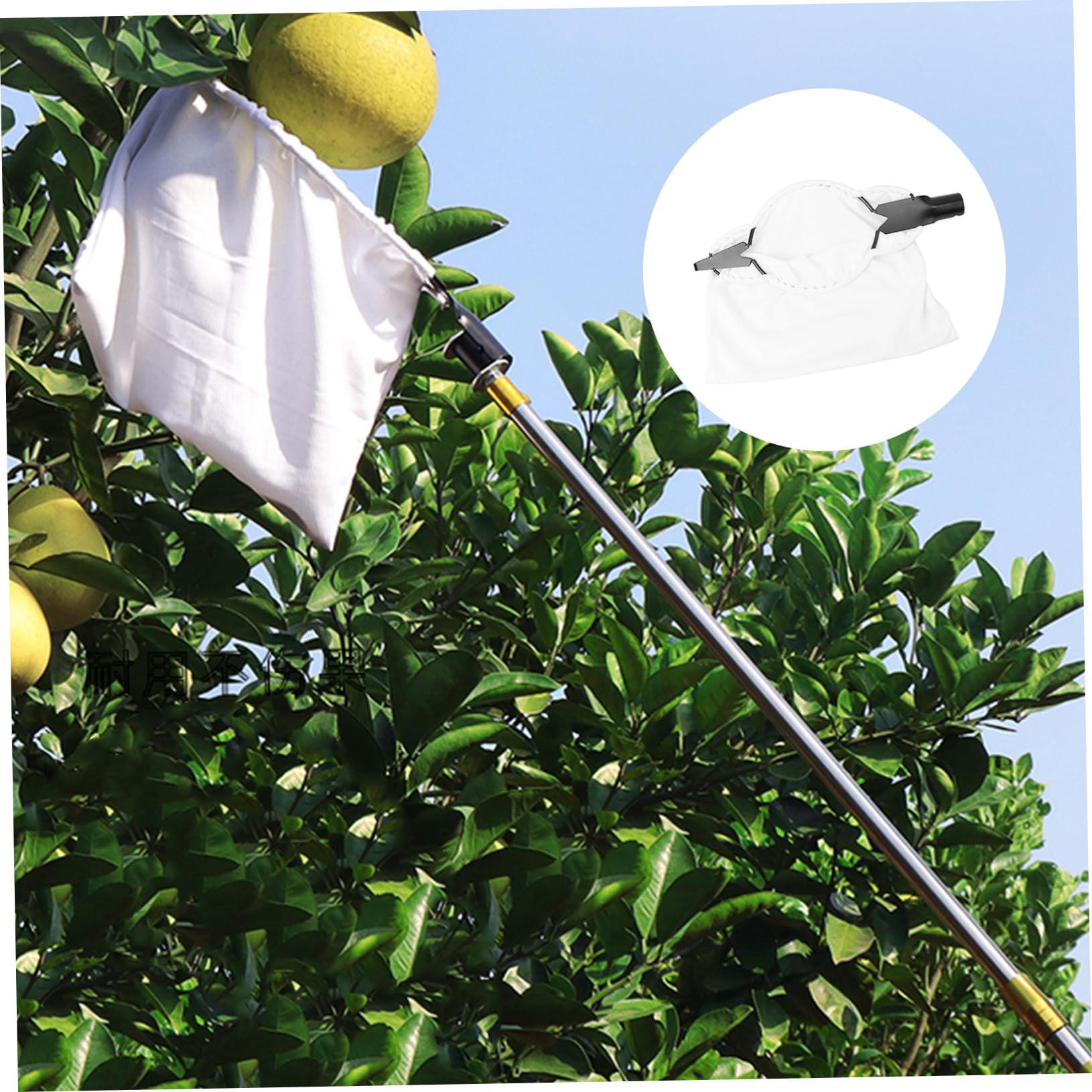 INOOMP 1pezzi Raccoglifrutta da Giardino Attrezzo per Raccogliere la Frutta Cesto per Frutta Portatile senza Danni ai Rami Facile da Usare per Frutteti