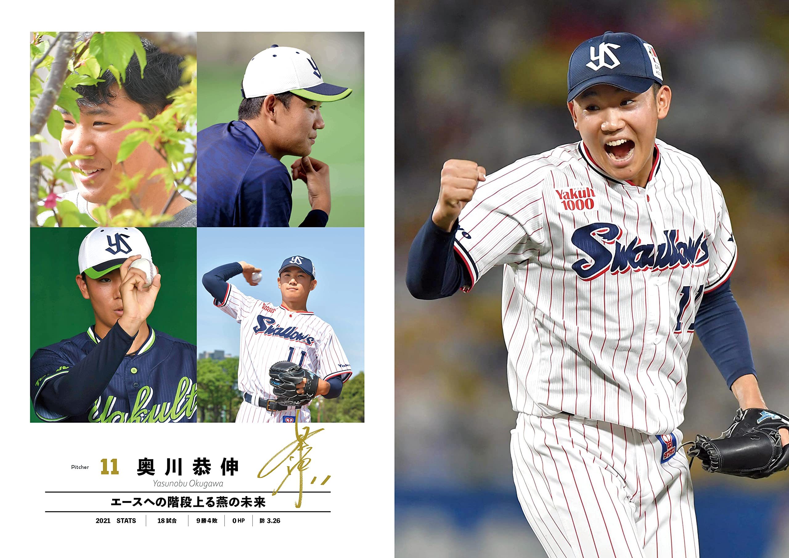 神宮球場ガイドブック 1986 ヤクルトスワローズ選手写真名鑑付 - 通販