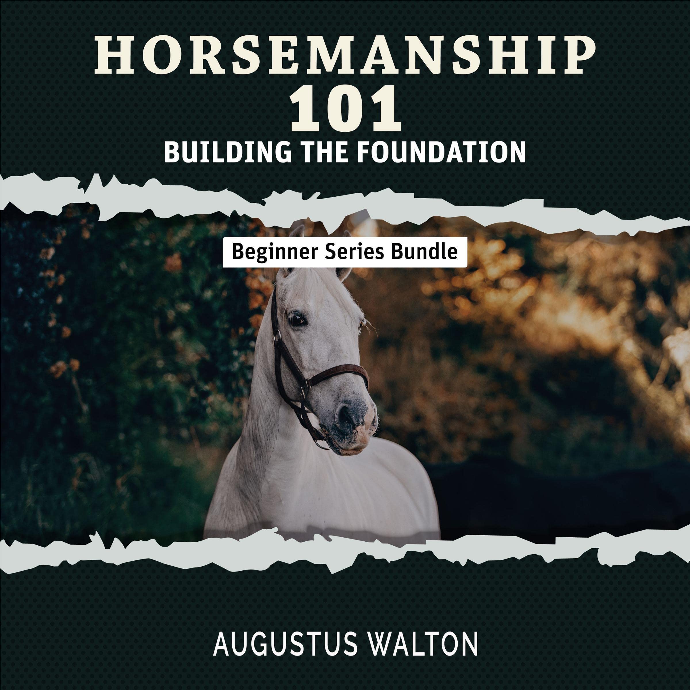 Cover art for Horsemanship 101: Building the Foundation