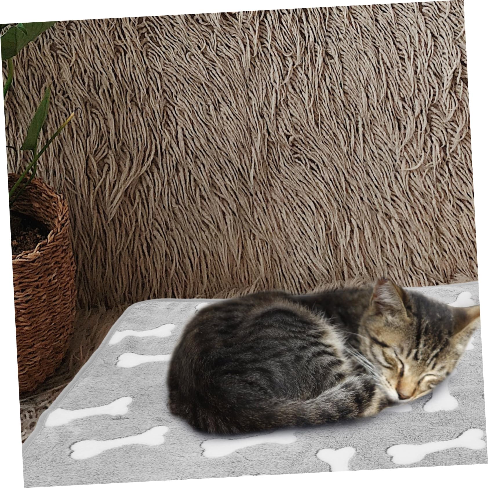 BESPORTBLE 5pièces Couverture Polaire Douce pour Animaux De Compagnie Plaid Chaud pour Chien Et Chat pour Canapé Et Lit Parfait pour Petits Animaux