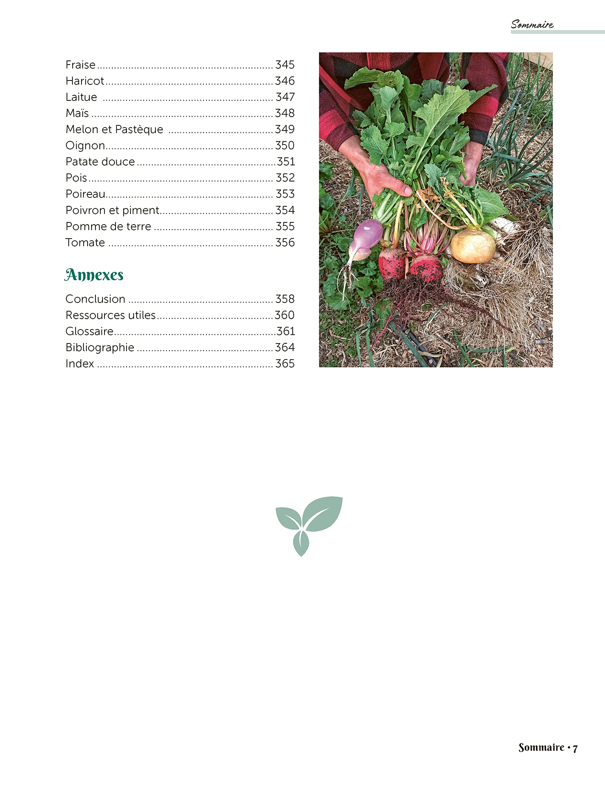 Permaculture, la bible pour débuter