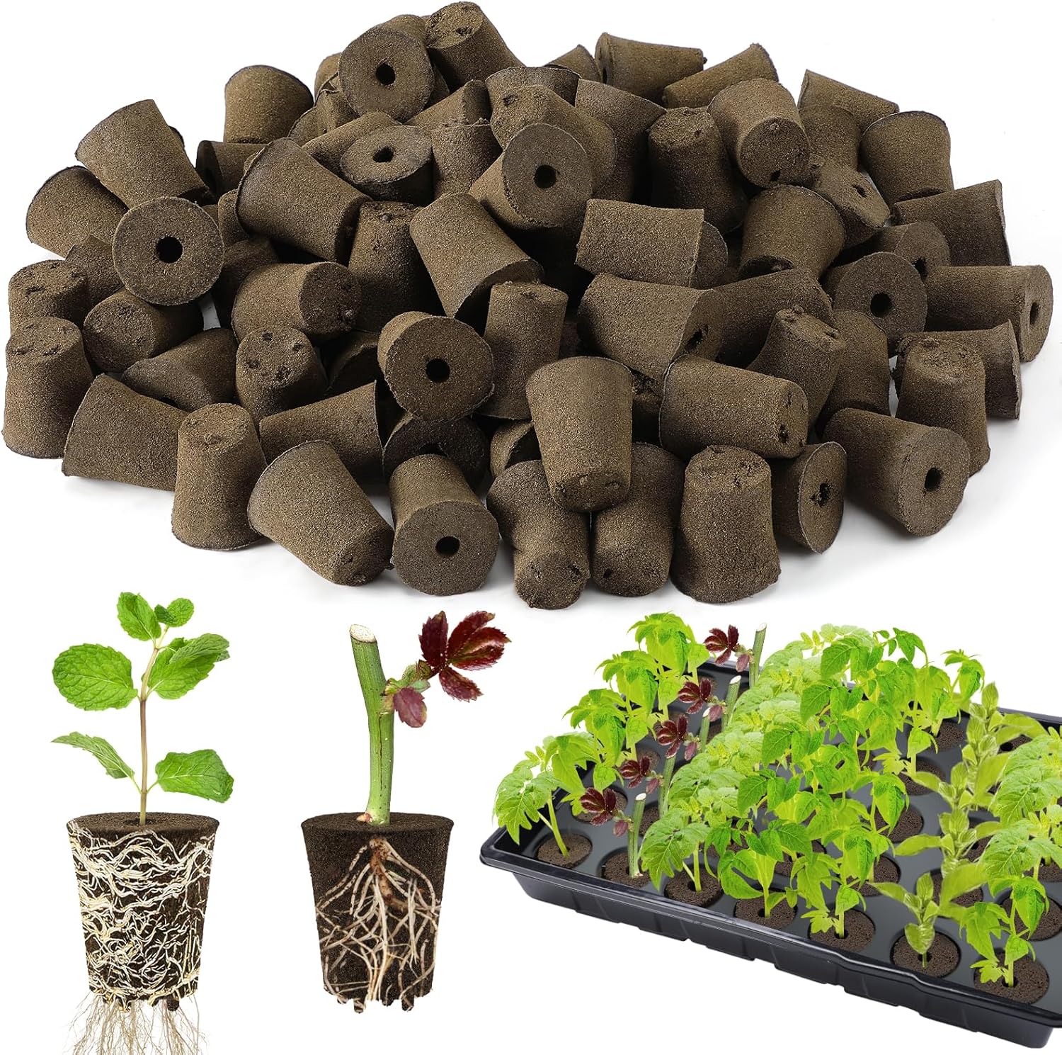 Bigmeta 100 Pcs Rooting Sponges, Starter Plugs for Seedlings or Cuttings, Rapid for Soil, Tray or Planting Pods Plant Rooter, Promotes Herbs Vegetable Flowers Growth
