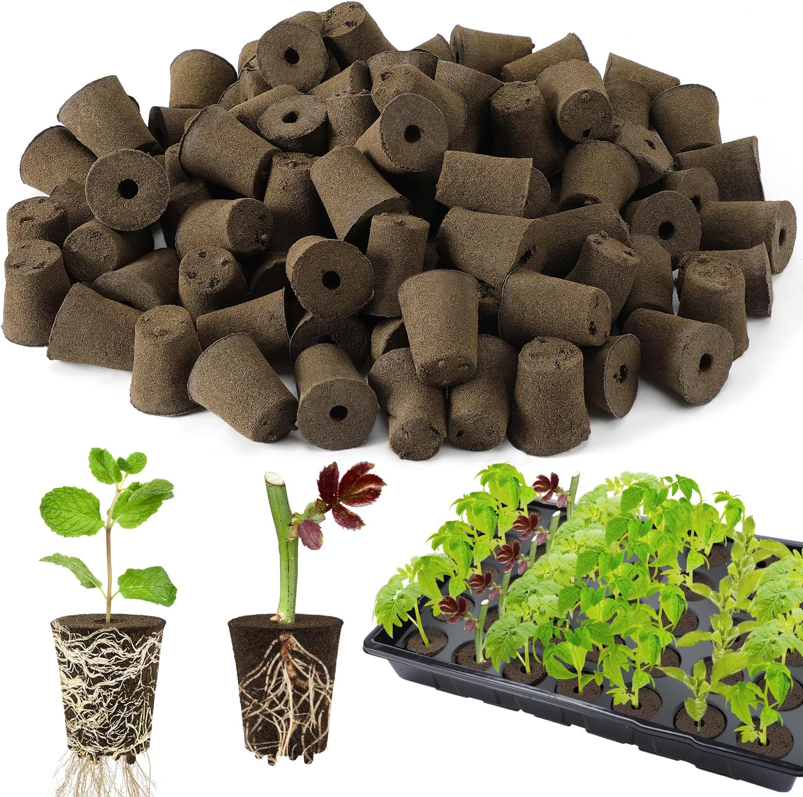 Bigmeta 100 Pcs Rooting Sponges, Starter Plugs for Seedlings or Cuttings, Rapid for Soil, Tray or Planting Pods Plant Rooter, Promotes Herbs Vegetable Flowers Growth