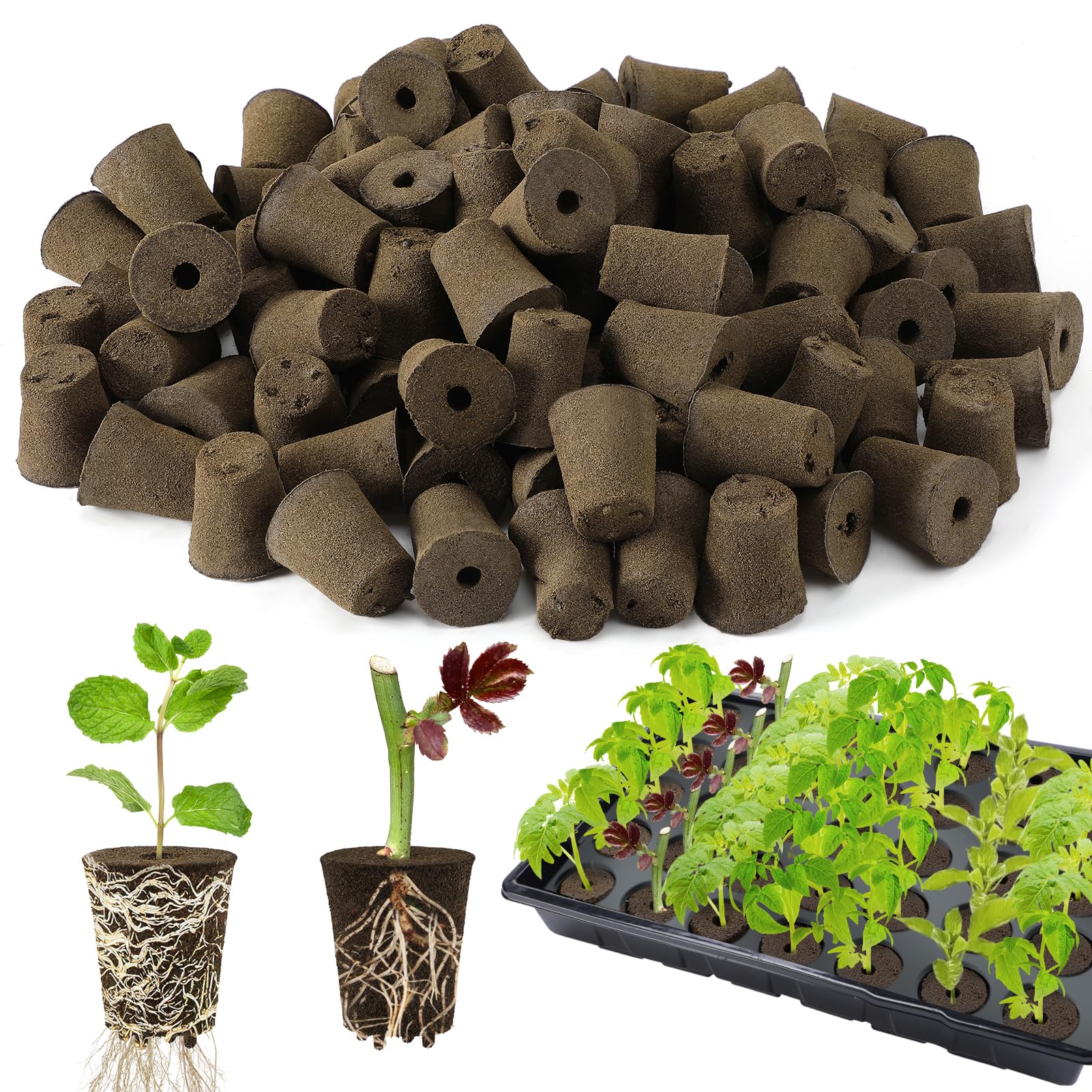 Bigmeta 100 Pcs Rooting Sponges, Starter Plugs for Seedlings or Cuttings, Rapid for Soil, Tray or Planting Pods Plant Rooter, Promotes Herbs Vegetable Flowers Growth