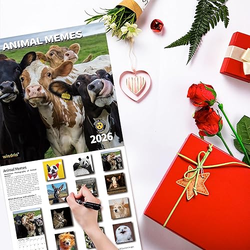 Miniatura 5 de Calendario de pared 2026, calendario divertido 2026, noviembre de 2025 a diciembre de 2026, calendario de pared divertidos memes de animales, 12 x