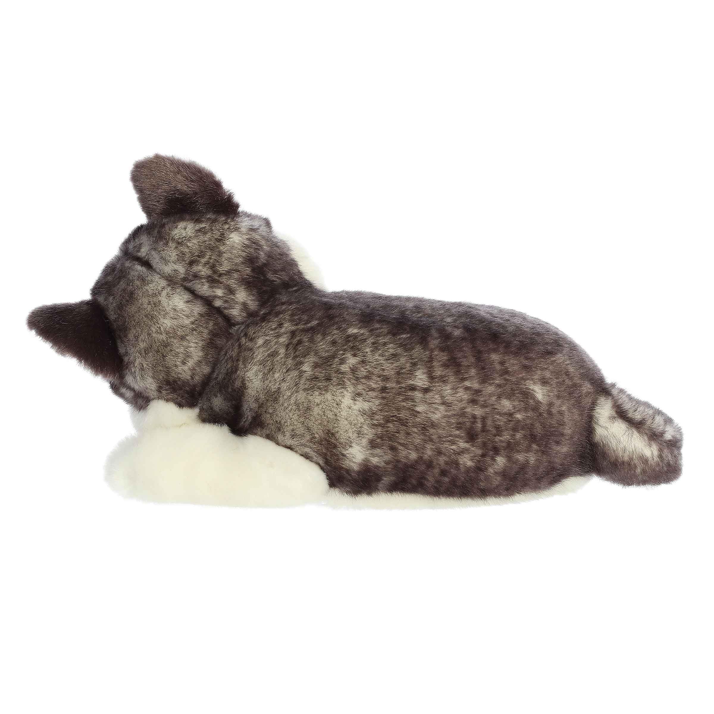 Aurora Adorable Miyoni Tots Sleepy Husky Pup Stuffed Animal - Lifelike Details Make a Cherished Companion - Perfect for Decorating Bedrooms or Classrooms - Gray 10 Inches