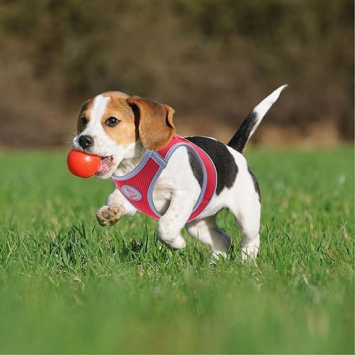 Miniatura 7 de KRUZ PET Arnés de malla reflectante para perro, sin tirones, ajuste rápido, cómodo, ajustable, chaleco para mascotas, arnés para caminar, entrenar,