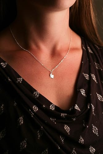 Miniatura 3 de Colombia Necklace - IBD - Personalize Name Coordinates - Pendant Size Options - Sterling Silver 14K Rose Gold Filled Charm