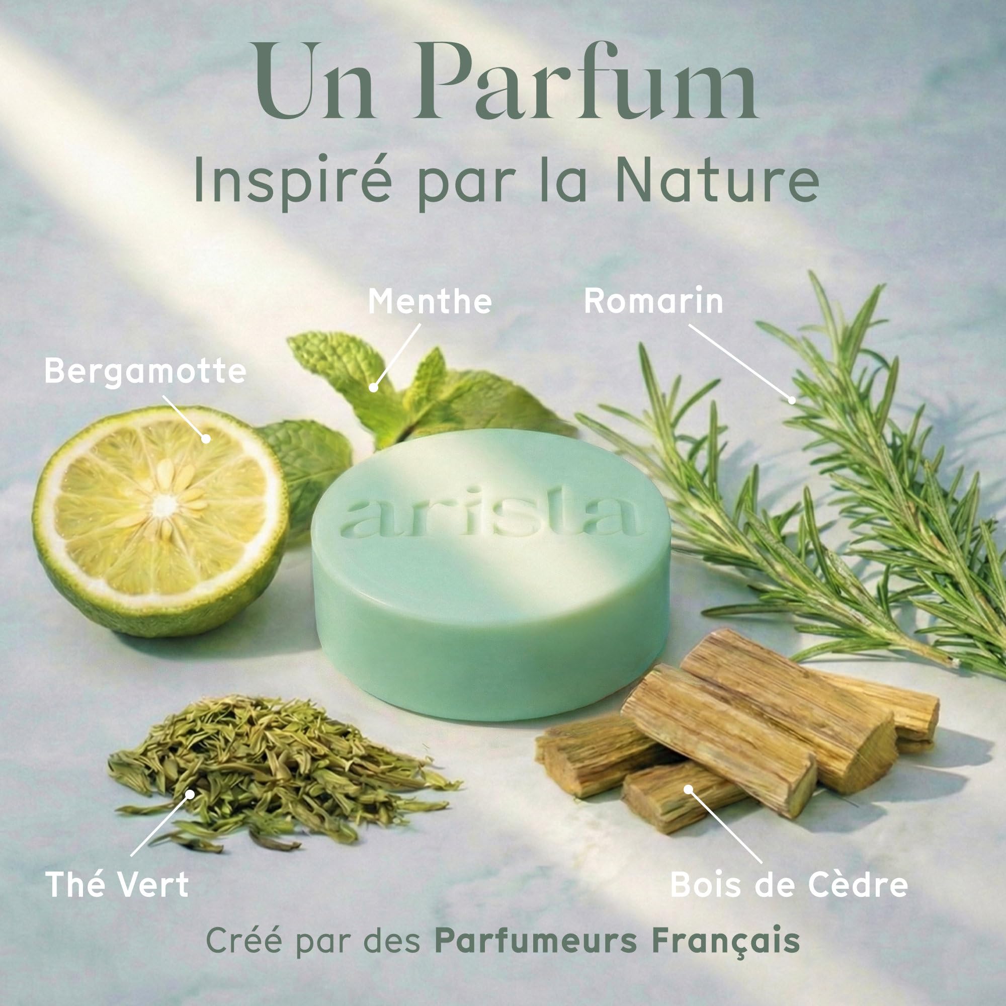 Arista Shampoing Solide Romarin & Biotine, Shampoing Volume Cheveux Fins et Plats, Apporte Volume et Légèreté, Favorise la Croissance, Sans Paraben, Sans Silicone, Sans Sulfate, Vegan (80 g)