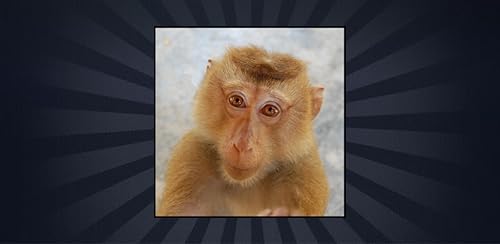 Macaco espécie Trivia Quiz