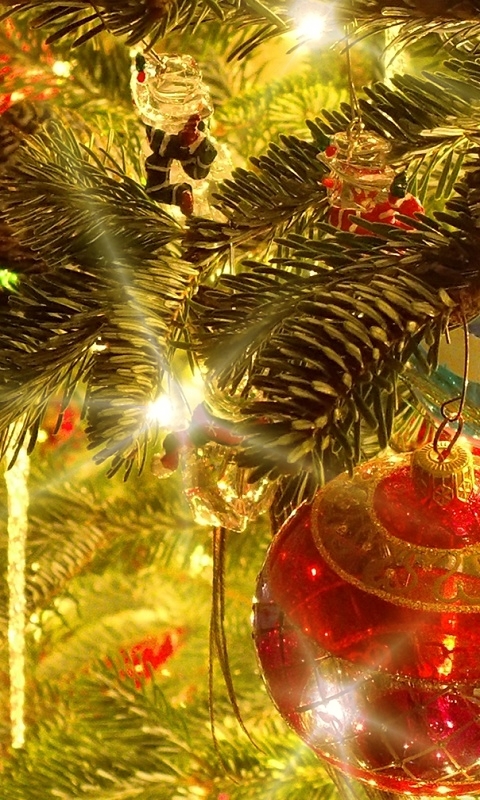 Christmas day public holiday 2025 cancelled