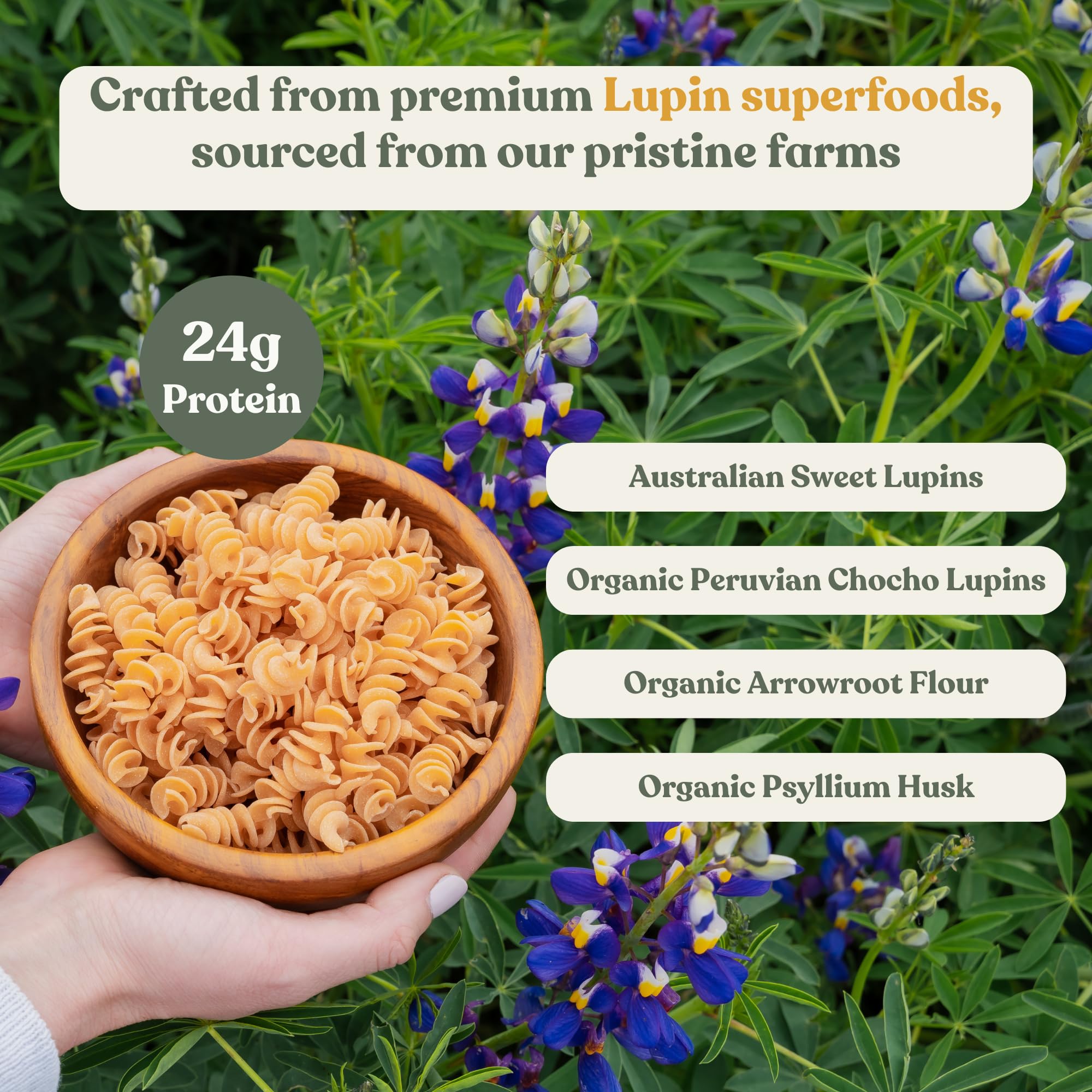 Chef’s Kiss Protein Mixed Case | 24g Protein, High Fiber | Gluten Free, Plant-Based, Lower Carb Pasta Made from Lupins | No Fillers No Gums | Nutrient Dense, High Protein | Non GMO | 4-pack (8oz)