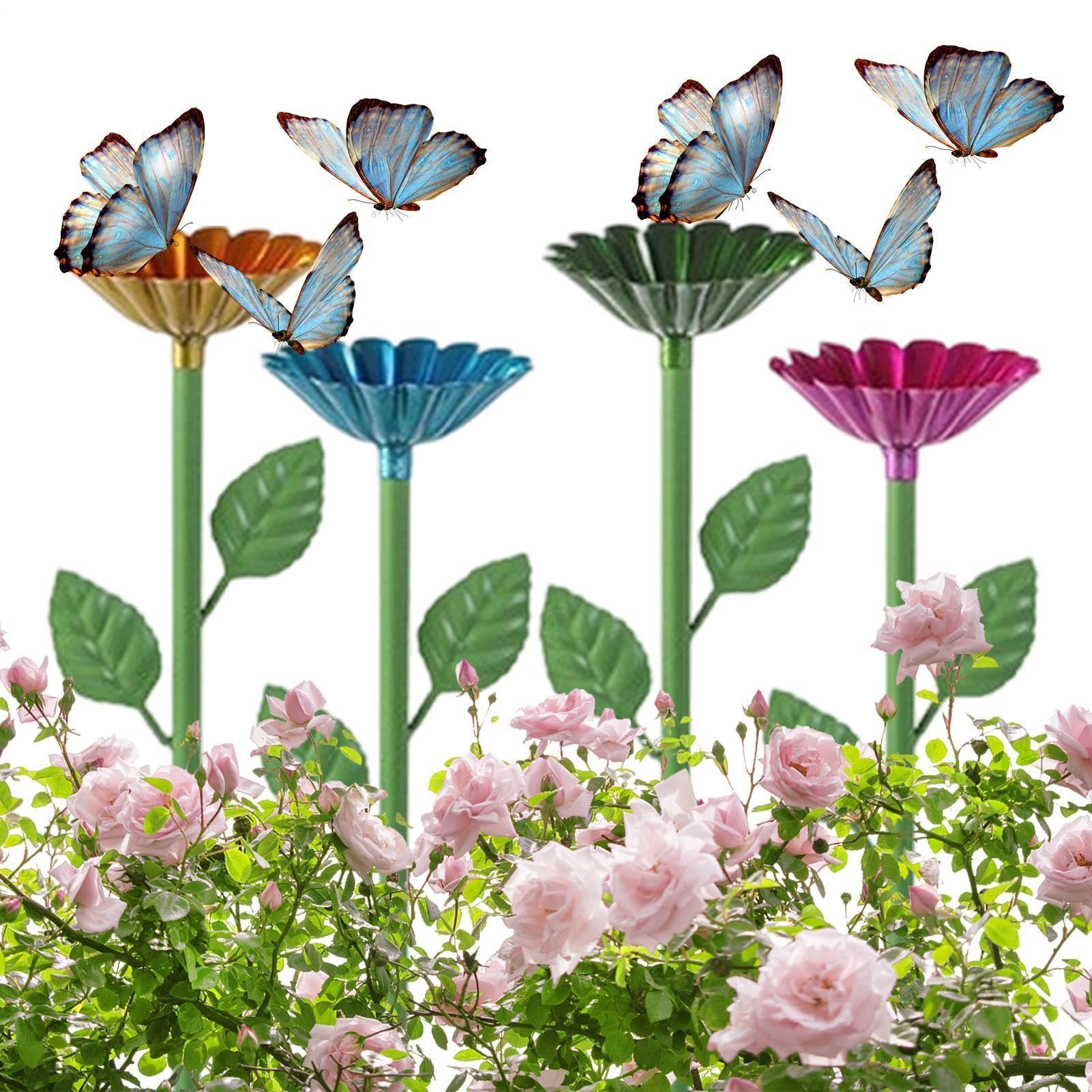 Bain pour Abeilles et Abreuvoir Extérieur Pollisateurs