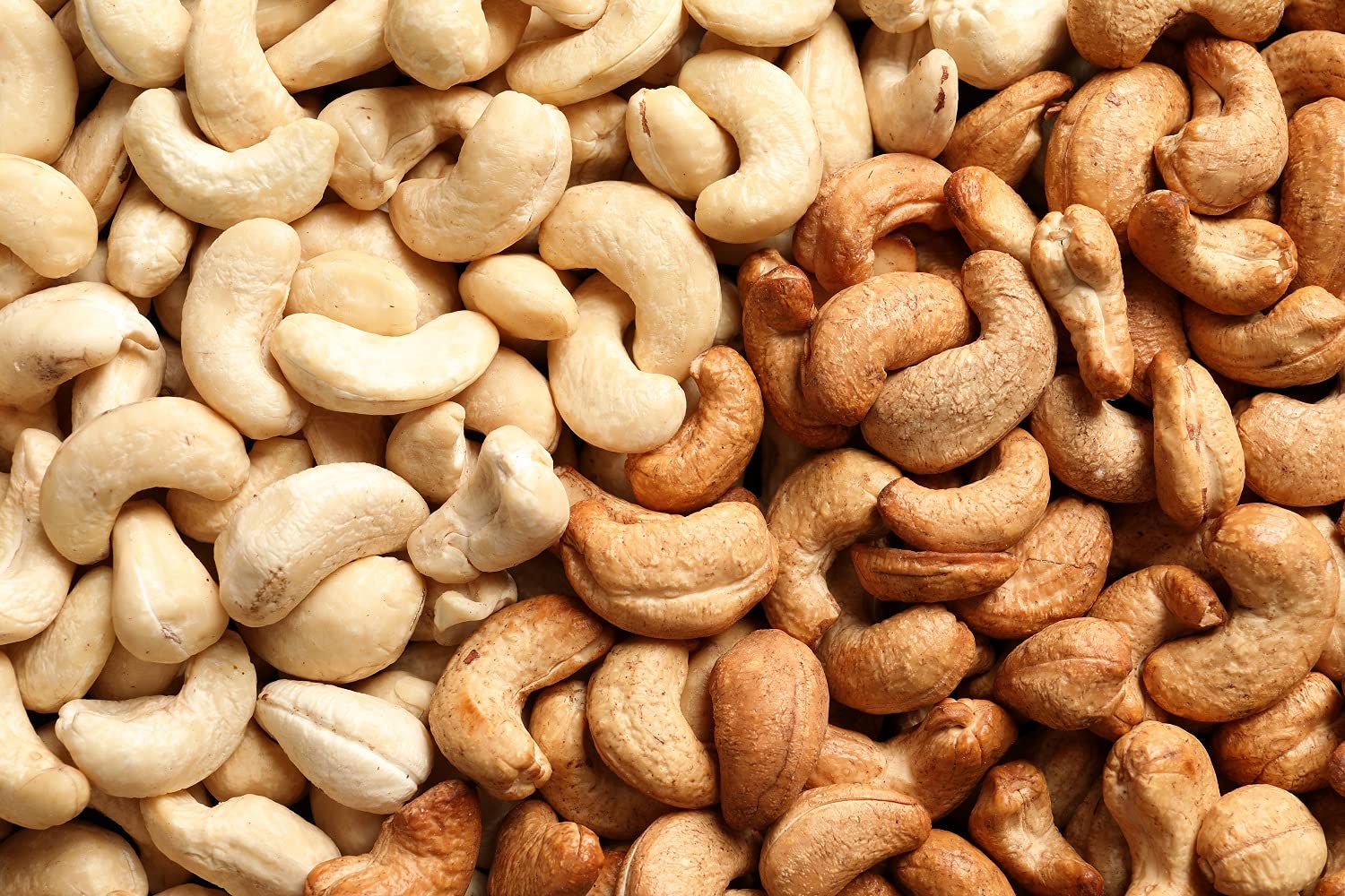Tasty Pott Cashewkerne - CURRY - geröstet und gesalzen I Knabberei I Nüsse I Veganer Snack I Crunchy Salat Topping I Currynüsse I Nusssnack I Cashews 500g (2x1000g)